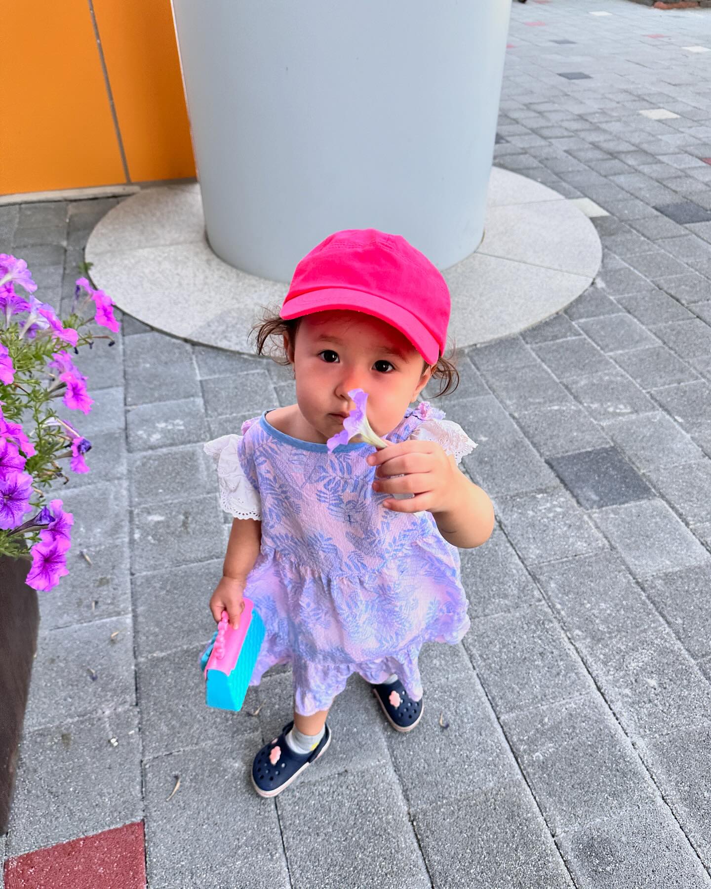 🪻可爱宝宝💜