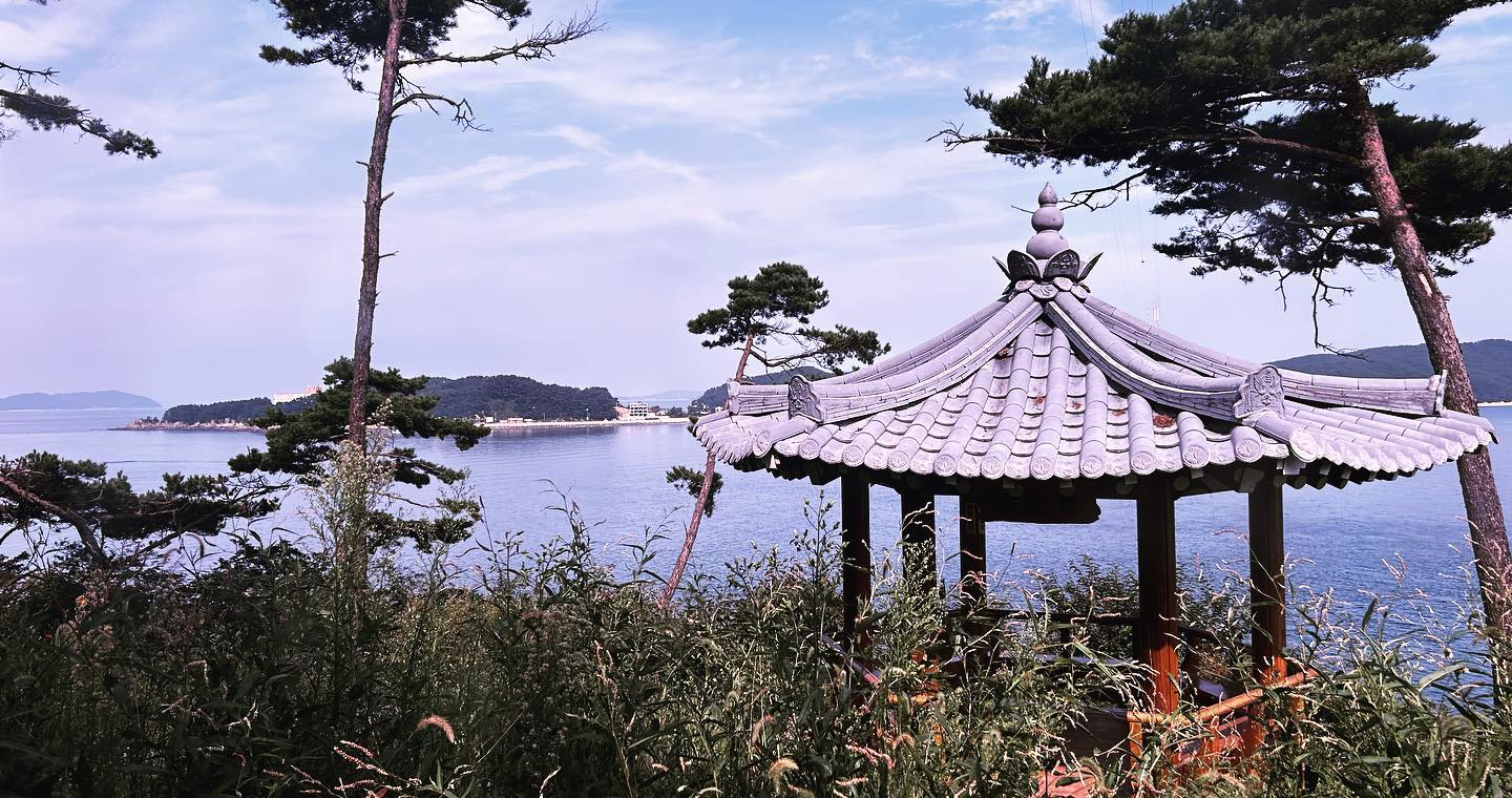 #대이작도 #가족여행 #힐링섬 #바지락캐기 #네비구니 #또오고싶은섬 #재미있게다녀왔어요
마지막 여름휴가 갯벌체험하러는 또와야지! 서쪽새가 말을거는건 안비밀🤫 벌레기피자인 나능 메뚜기 뛰는거보고 간이 안틸콩만해진건 비밀🫣