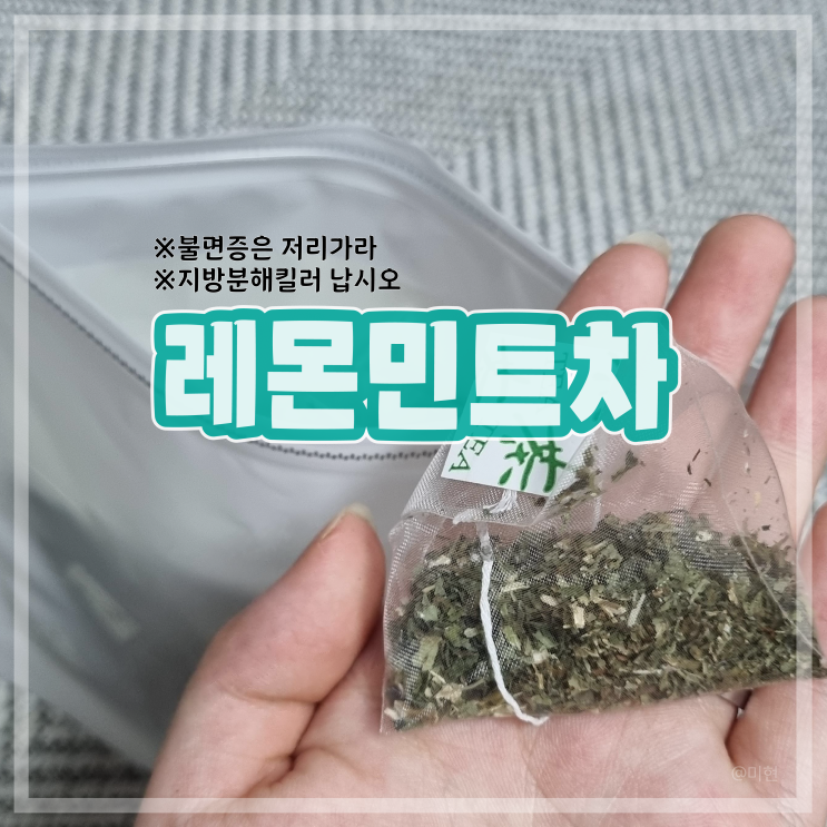 [제품후기] 지방킬러 이루다 레몬민트차 홀짝홀짝