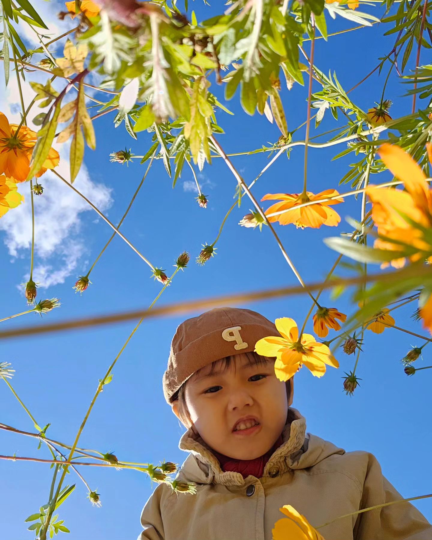 #hello
인스타에서 사진 찍는 법을 배웠는데...
느낌만 배운 너낌ㅋ 울 꼬맹이들 왜 심각해?!ㅋ
어색한 표정에도 걍 귀엽다 귀여워♡ 
가을 하늘과 코스모스와 산뜻한 친구들🍂 딱이다!
#금요피드 #얼집땡땡이 #서울나들이 #가을데이트

오니덕에 즐거웠던 하루! Thanks pms_821