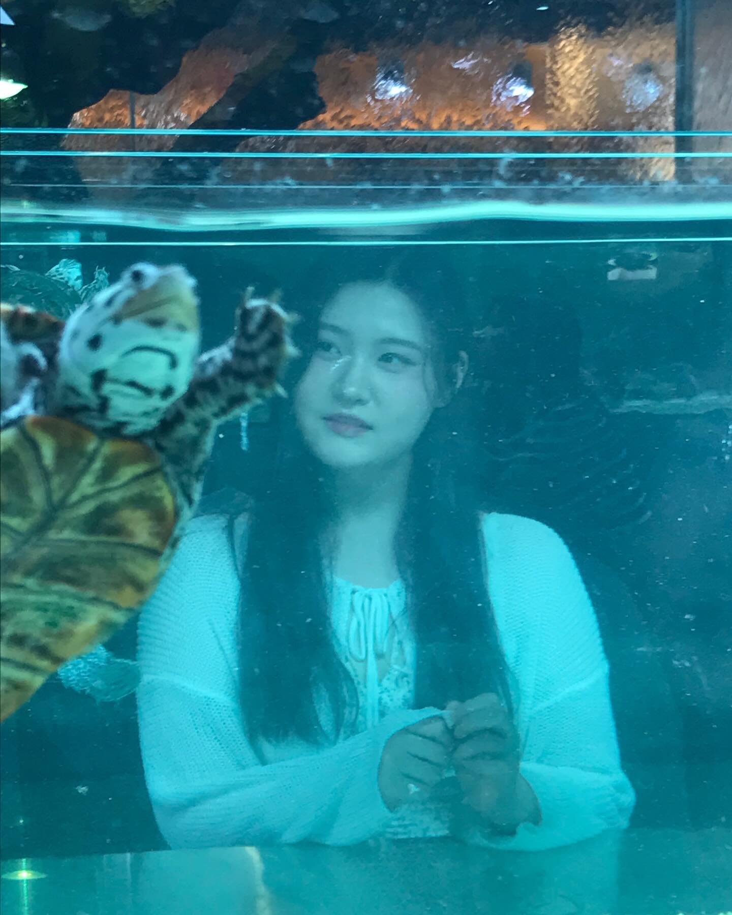 🐢이는 내 칭구