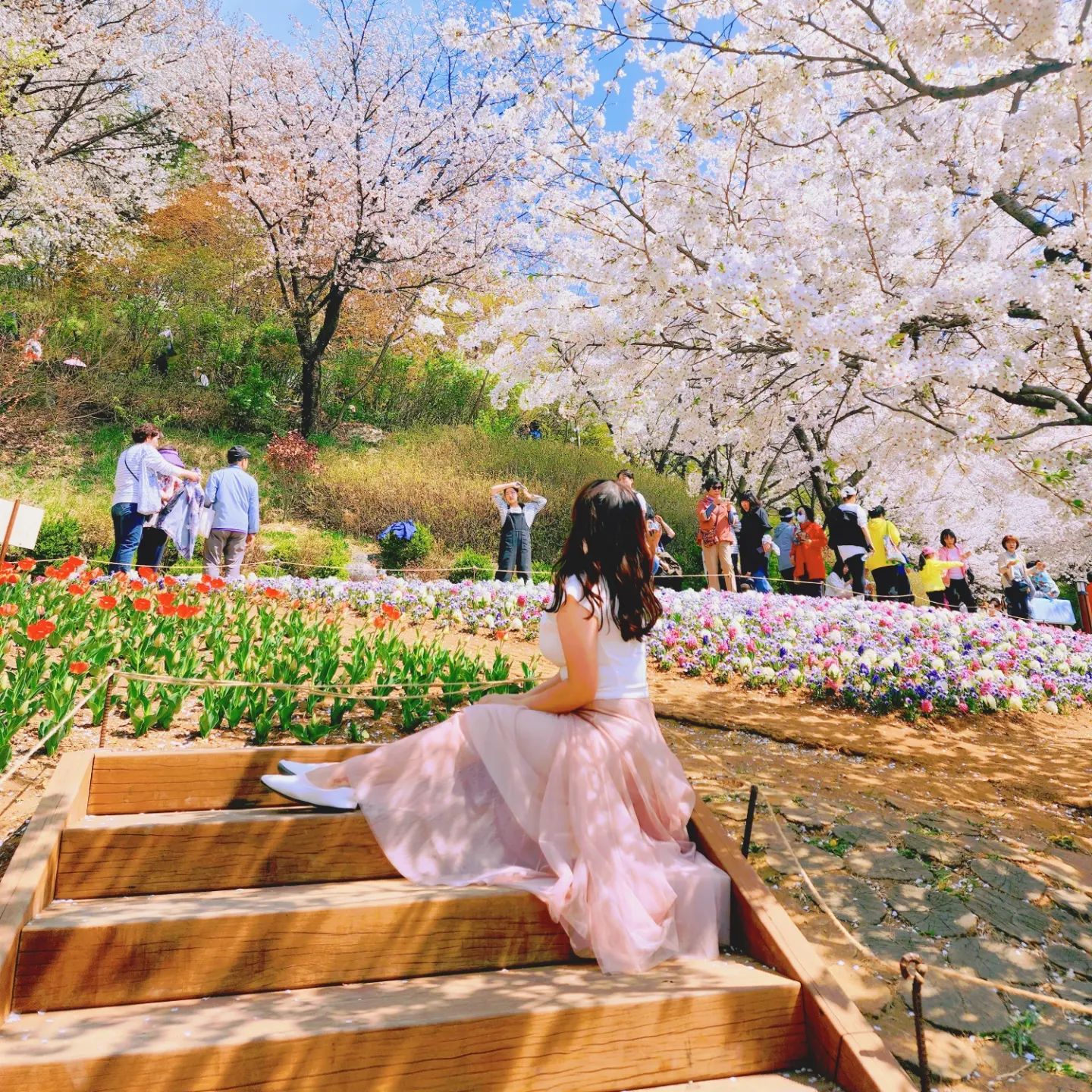 𝐶ℎ𝑒𝑟𝑟𝑦 𝐵𝑙𝑜𝑠𝑠𝑜𝑚 𝐸𝑛𝑑𝑖𝑛𝑔

🌸

🌸

🌸

#봄나들이 #봄이왔나봄 #봄이좋냐 #벚꽃놀이🌸 #벚꽃명소🌸 #벚꽃길 #벚꽃구경 #봄처녀들 #인미공주들 #내려와서치맥🍻 #363 #귀찮아서이제올리는건안비밀