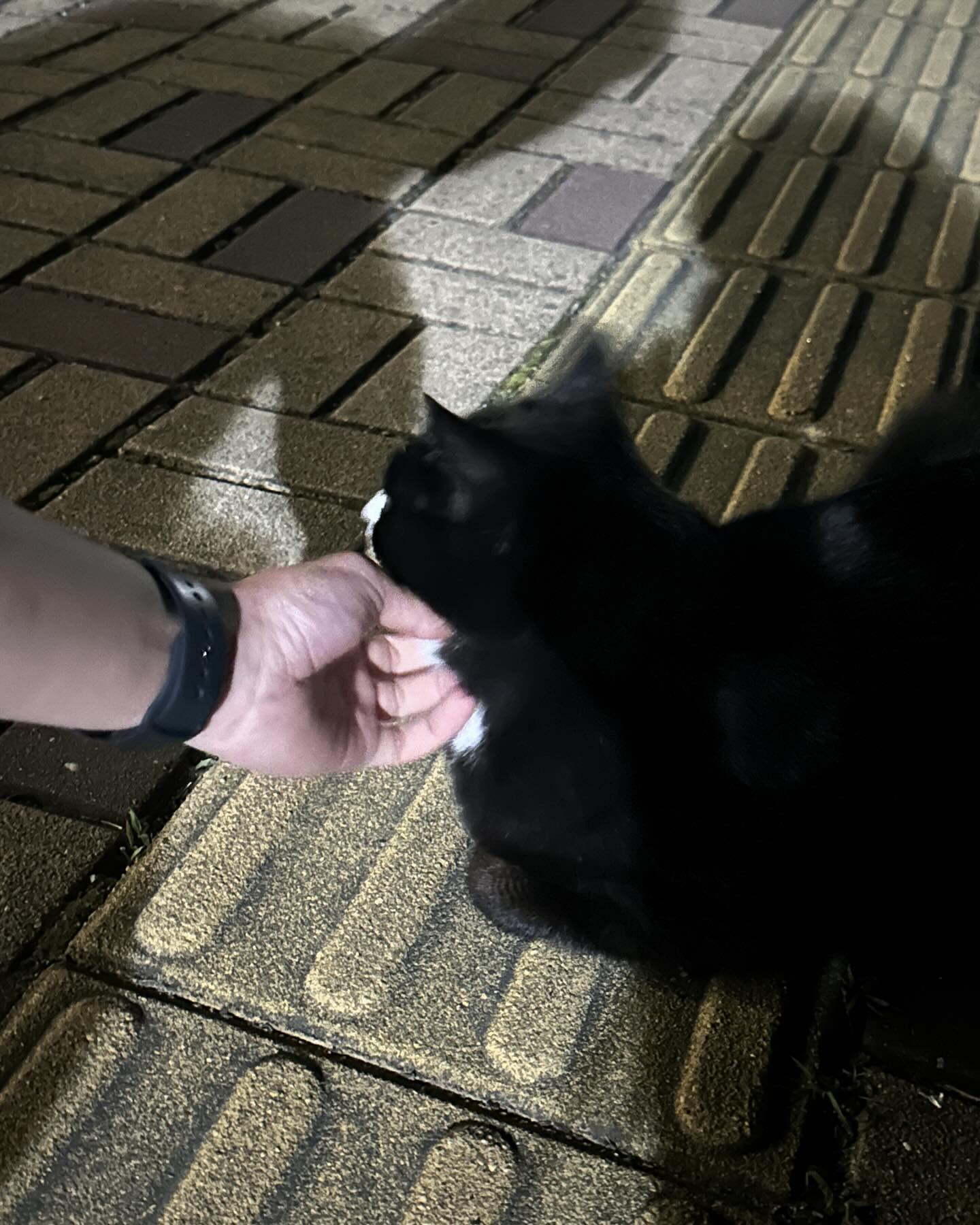 깜이❓