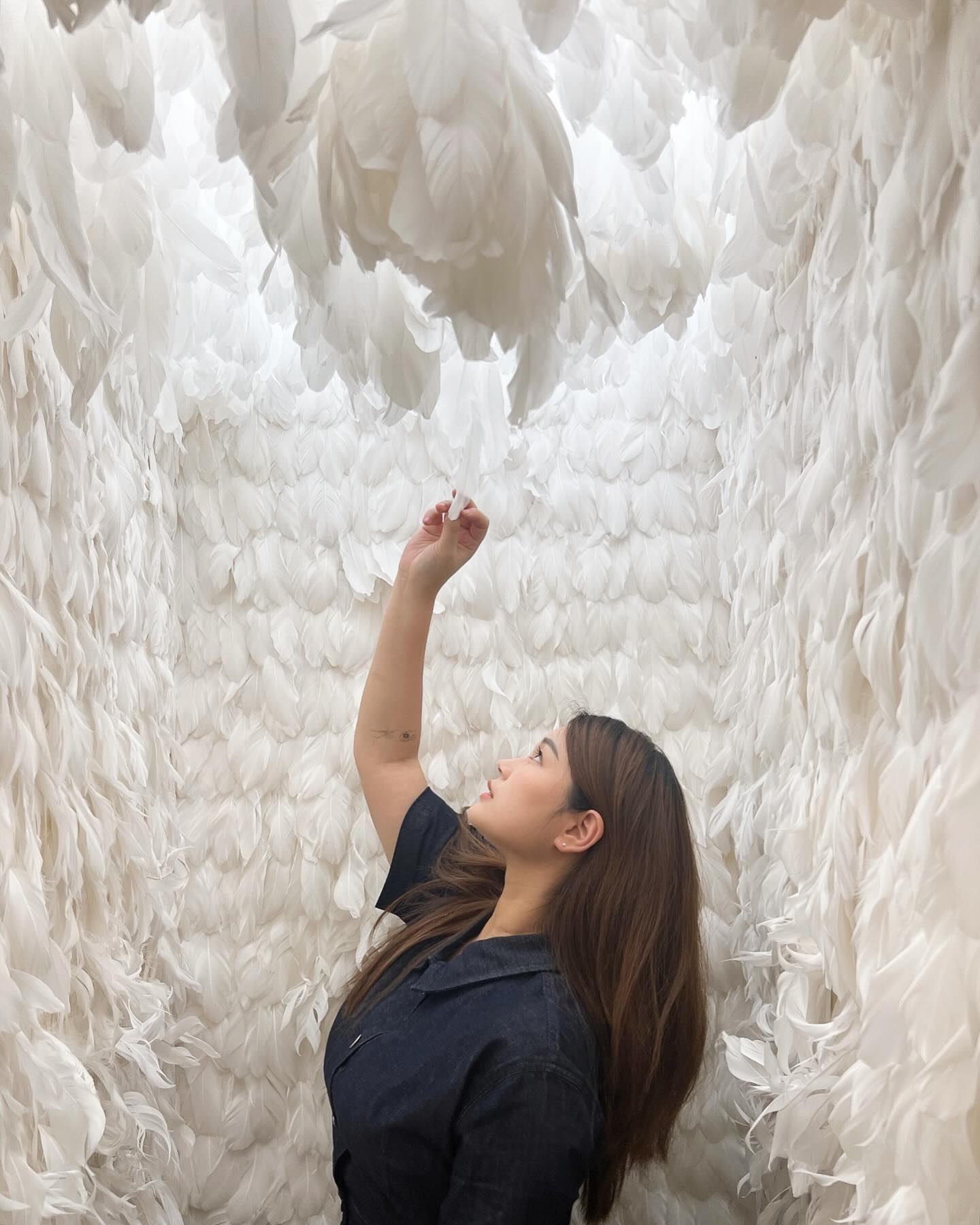🦢