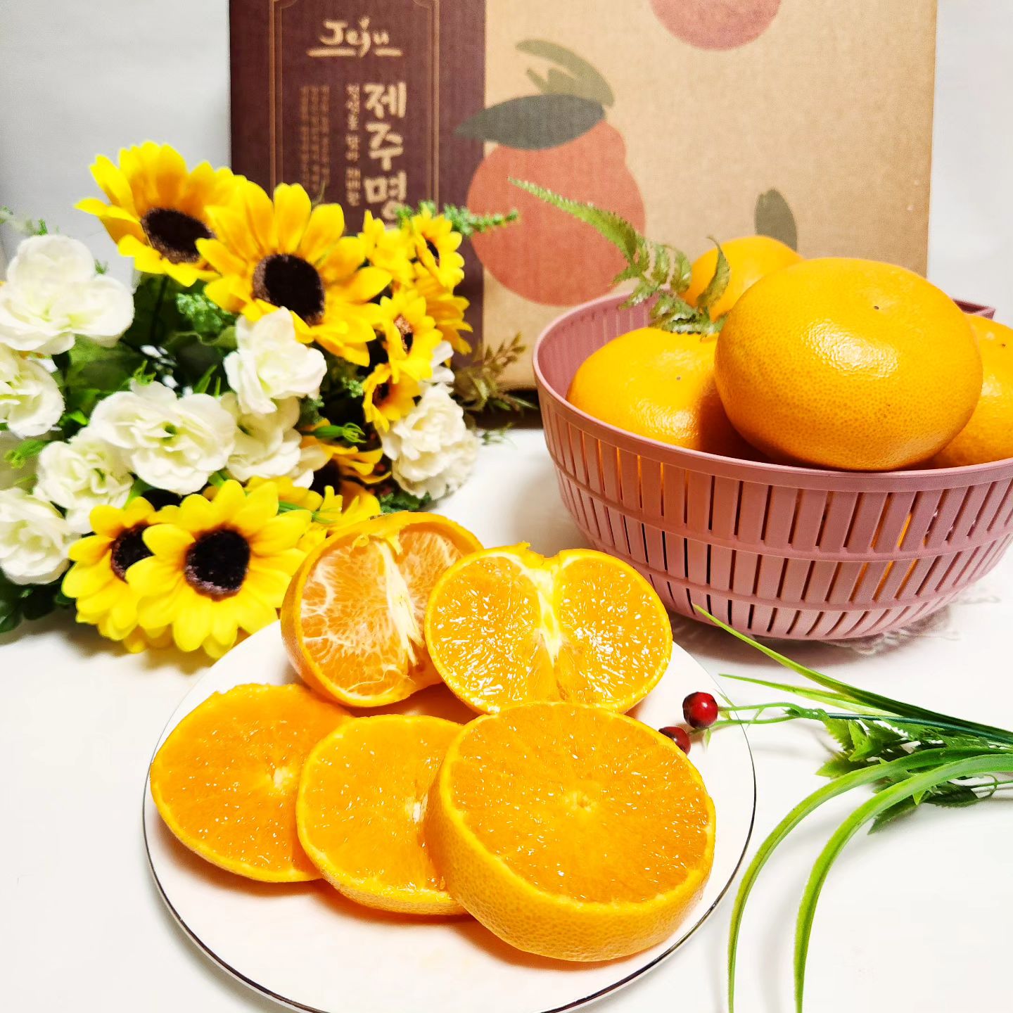 #협찬 #귤_담다 🍊 제주 #천혜향선물세트 💝

제주 서귀포시 남원 생산자 직배송이라 신선함이 진짜 👍

껍질도 얇고, 알갱이가 꽉 차 있어 과즙폭발💦💦 
왜 당도가 높다고 말하는지 알 것 같은 상큼달콤함~♡

당도 높은 제주 명품 천혜향의 상큼함을 즐겨보면 좋아서 진짜 맛있다!!! 라는 말을 나도모르게 계속 하고있음ㅋㅋ

배송받고 박스를 열었는데 꼼꼼한 방탄포장에 감탄!!
터진 천혜향이 1도 없어요~♡♡

이번 설날 부모님선물로 천혜향 선물세트 준비했었는데 대만족이네요~^^
원래 시다고 잘 안드시는데 귤_담다 제주 천혜향은 달고 맛있다고 하시면서 간식으로 매일 챙겨드시네용~ㅎ
조카들도 맛보여줫더니 자꾸 더 달라고해서 순식간에 7개는 사라진듯요 ㅋㅋㅋ 

패키지, 천혜향 품질, 맛까지 고급스러워서  답례품, 선물용도로 매우 좋을듯해요~ 
완전 강추~👍👍👍

달고 맛좋고, 직배송이라 신선하고 믿을수있는 #천혜향선물세트 찾으시는분들은 아래 구매 링크 남겨놓을께요~^^

 :https://m.smartstore.naver.com/gyuldamda/products/9698138034

gyuldamda
#제주도천혜향 #제주과일 #프리미엄과일 #귤_담다 #제주감귤농장 #서귀포감귤농장  #제주도천혜향 #제주과일 #프리미엄과일 #제주가볼만한곳 #천혜향레드향 #제철과일 #천혜향3KG #과일세트 #디너의여왕