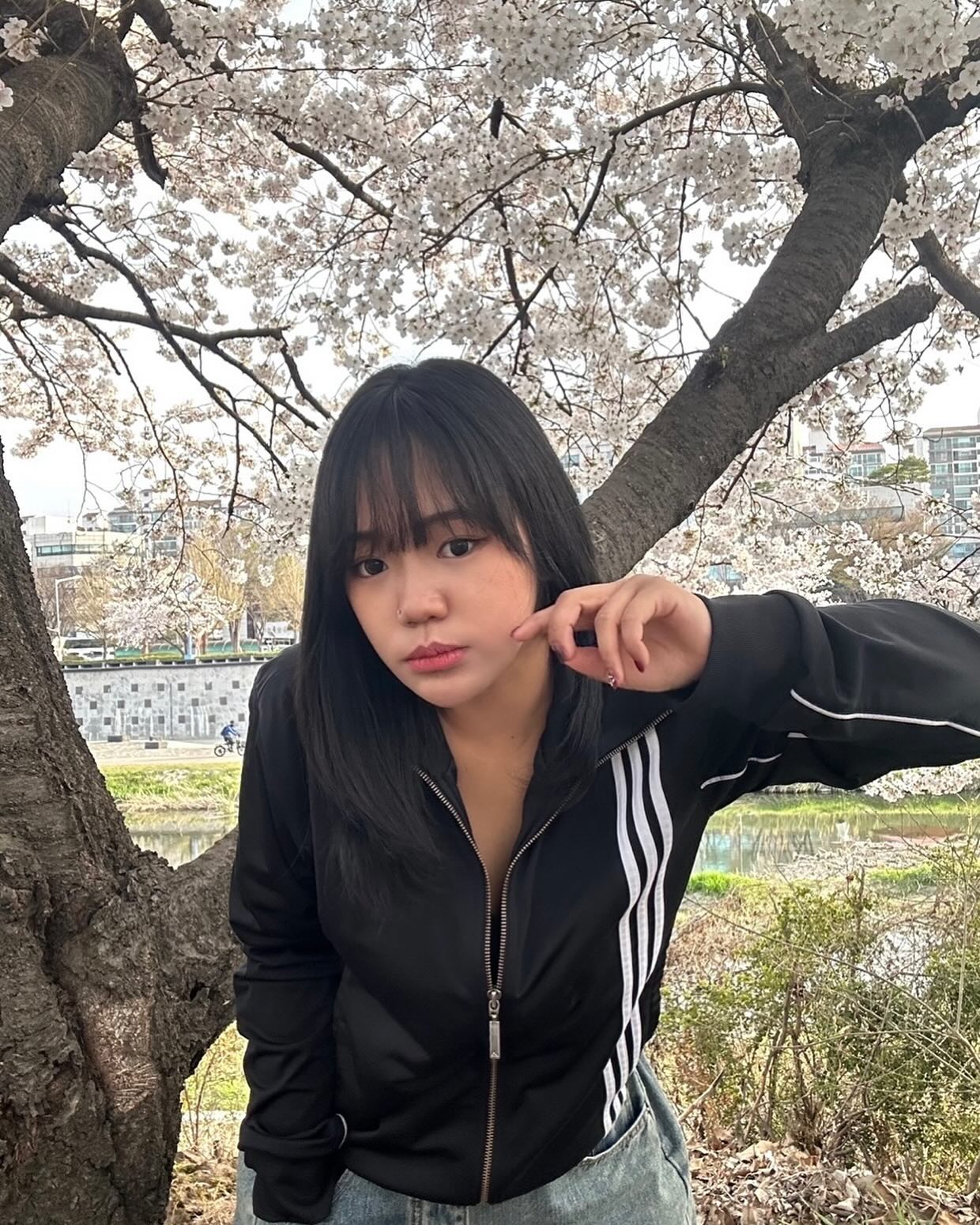 🌸