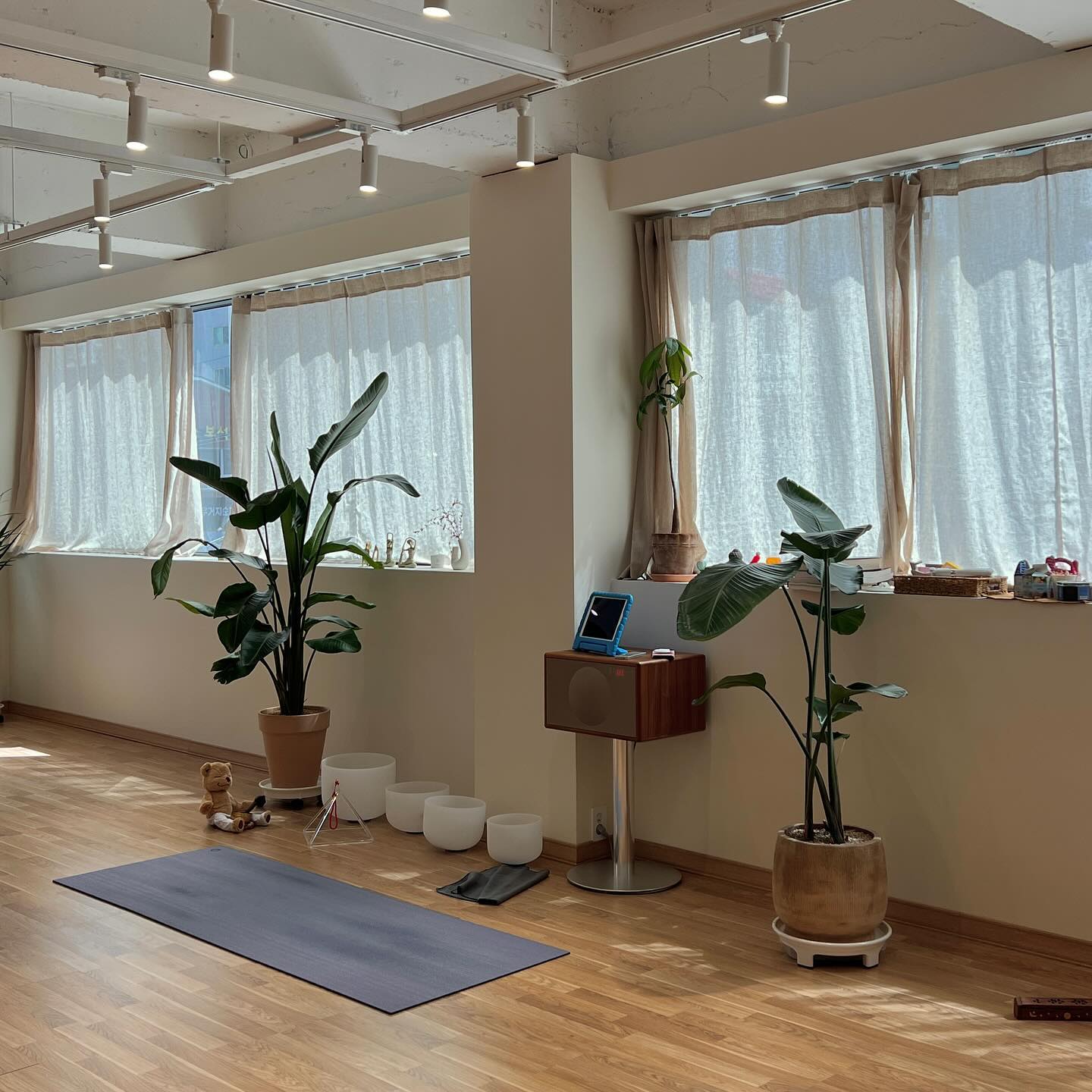 지이이인짜 오랜만에 #요가 시작!
동작 하나하나 쉽지 않지만 요번엔 오래오래 꾸준히 해보자🧘🏼‍♀️ 테니스에도 도움 되겠지…?😙ㅋㅋㅋㅋㅋㅋ

#오운완 #오요완 #요가 #yoga #운동소통 #운동복 #운동기록 #요가복 #요가스타그램 #요가수련 #운동복 #운동일지 #운동맞팔 #운동초보 #운동인증 #테린이 #테생아