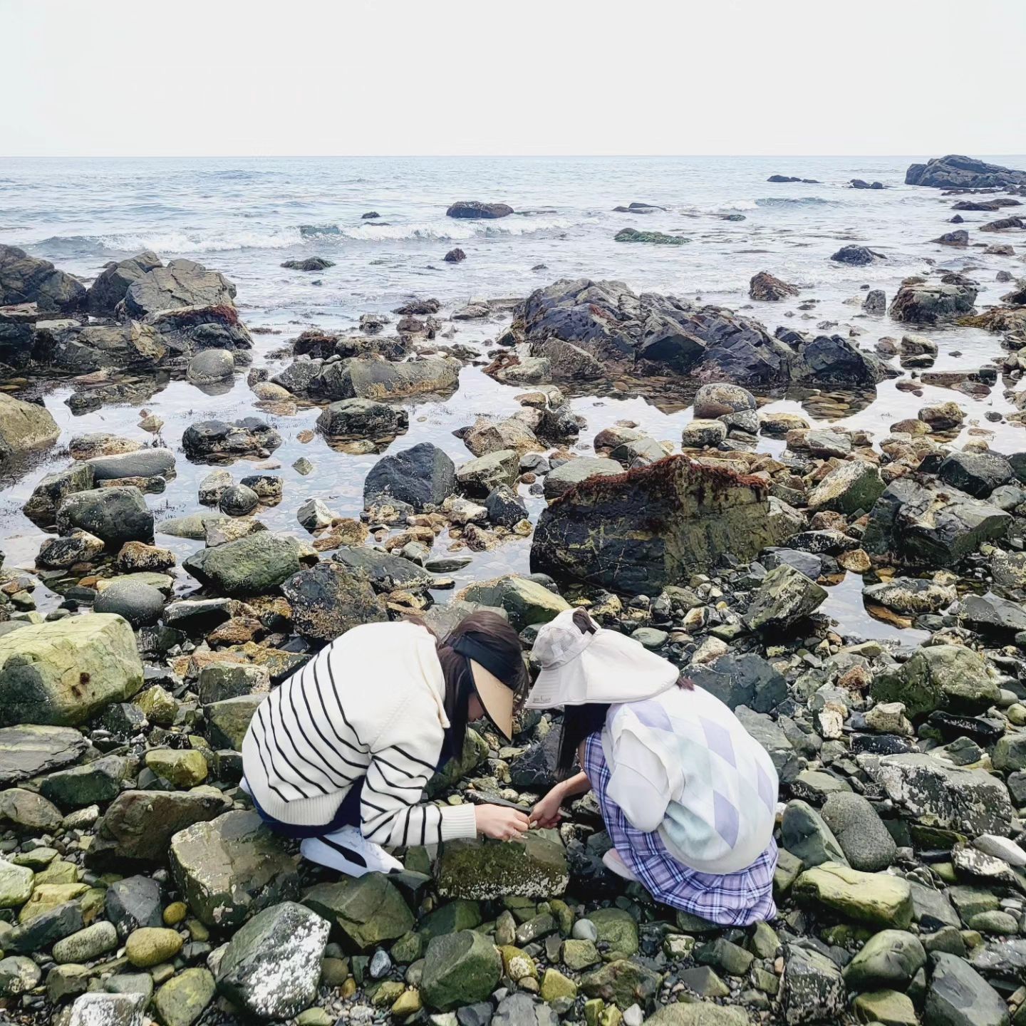 #협찬
노는게 젤 좋아~~
주말이면 엄마아빠따라 산으로 바다로 들로
좋은 추억 많이 많이 담아주고싶어요~

아이들이 넘 좋아하는 산리오!!
폼폼푸린,시나모롤 최애 캐릭터입니다^^
퓨로랜드가서 놀다오는게 소원입니다
울아이의 소원 산리오에게 말할래요!!
당신의 소원이 이루어질지도 몰라요
소원말하러 가야겠어요^^

sanrio_domeafavor_kr 
인스타그램에서 진행하는 소원 응모 참여/소개 캠페인

Sanrio_DoMeAFavor_kr 에서 프로필 하이라이트
소원프레임 3종 중 1개를 캡쳐해 산리오가 이루어주었으면 
하는 소원을 게시글이나 이미지 속에 작성
해시태그 #Sanrio_DoMeAFavor 입력하고
Sanrio_DoMeAFavor_kr 을 태그해 게시하면 응모완료
4/7（일)까지 포스팅하면 산리오가 소원을 들어줄지 몰라요

#산리오에게소원을말해봐 #산리오캐릭터 #산리오덕후 #소원빌기 #소원성취