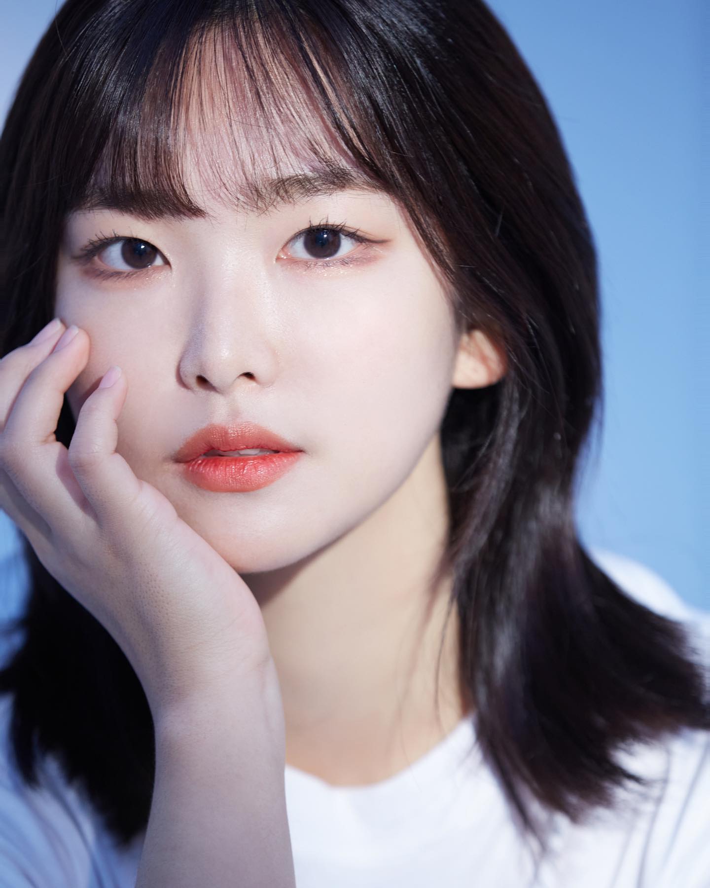 콘텐츠