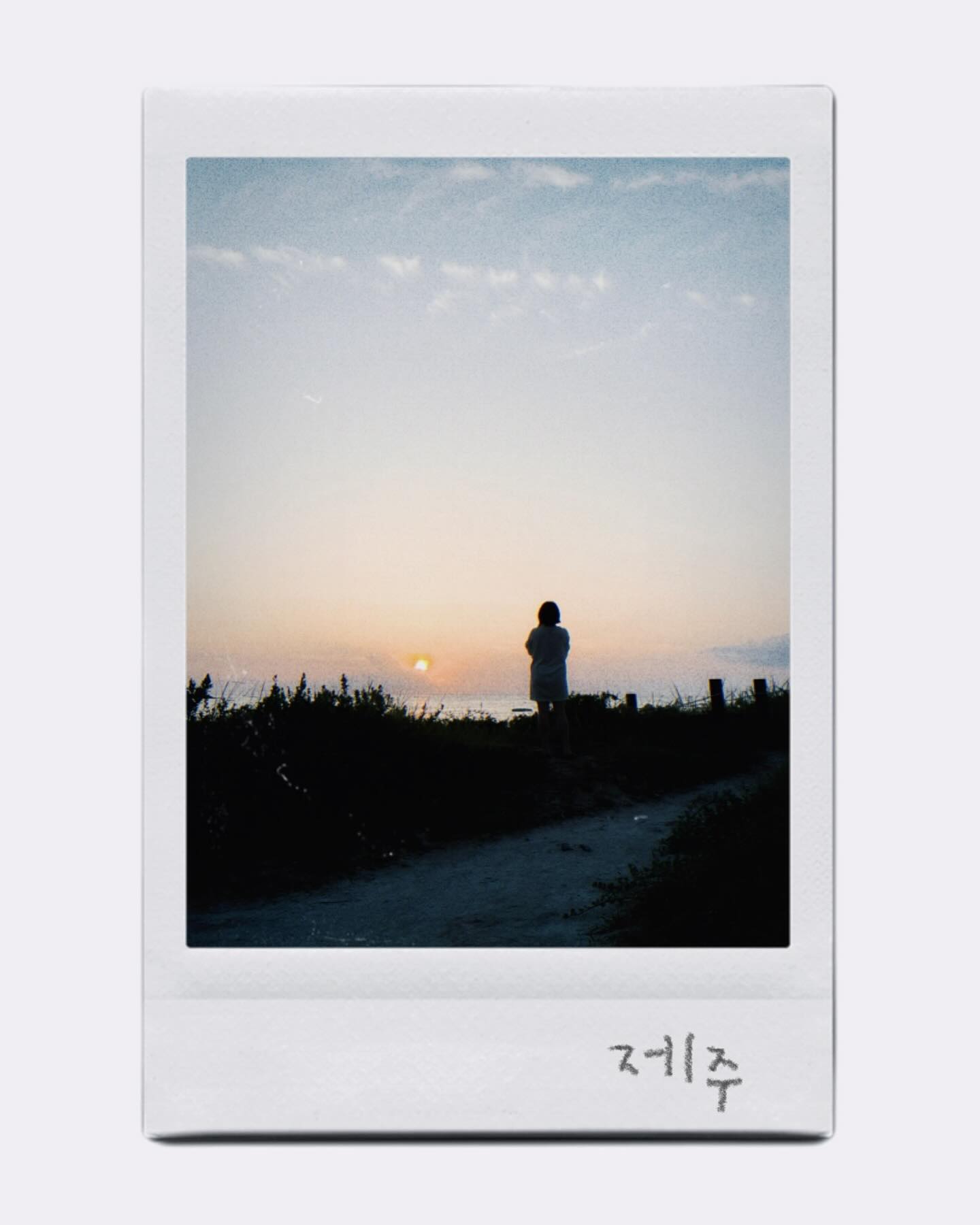 폴라로이드 재밌다