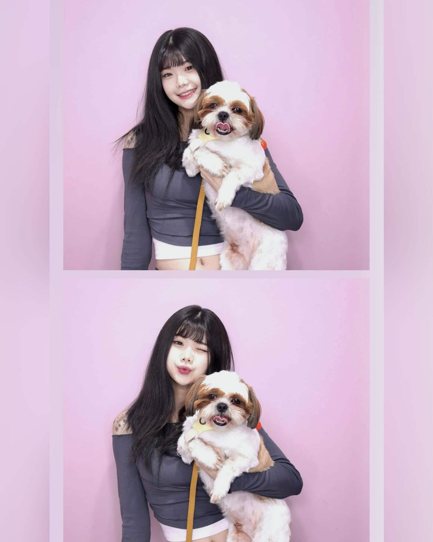 쨘메오랑 #뜬금없이 #네컷사진 
#올드문스튜디오 #강아지산책