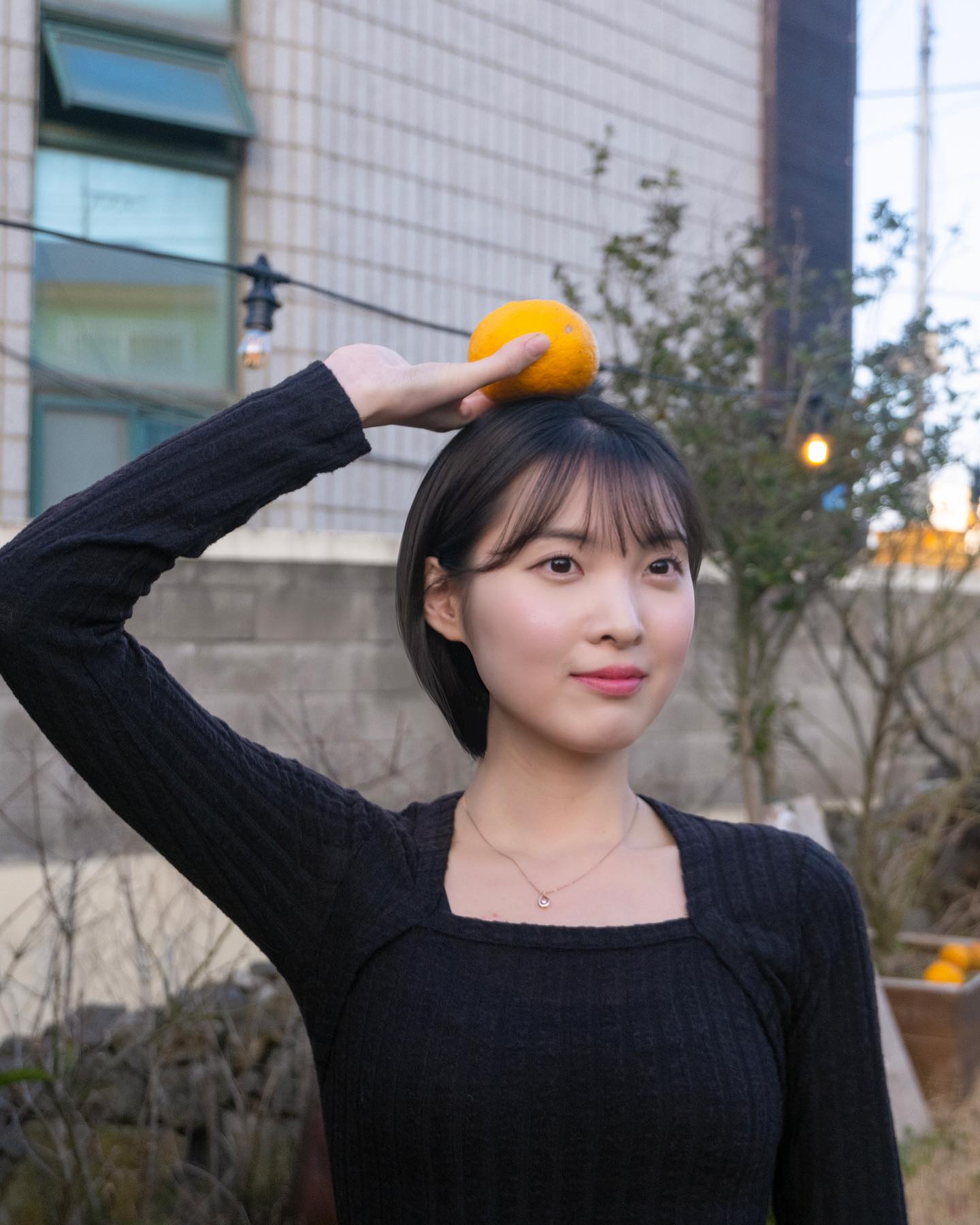 귤 선생님 아님니다 🍊