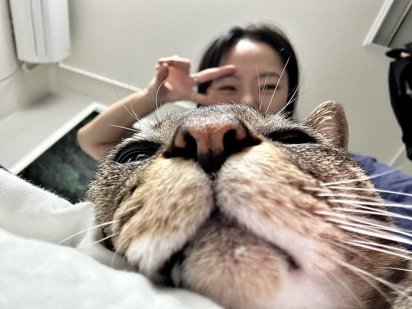 아토는 왜이렇게 귀여울까🤔