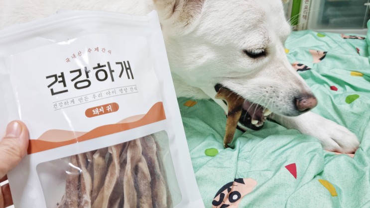 반려견수제간식 애견영양간식으로 딱 좋은 돼지귀