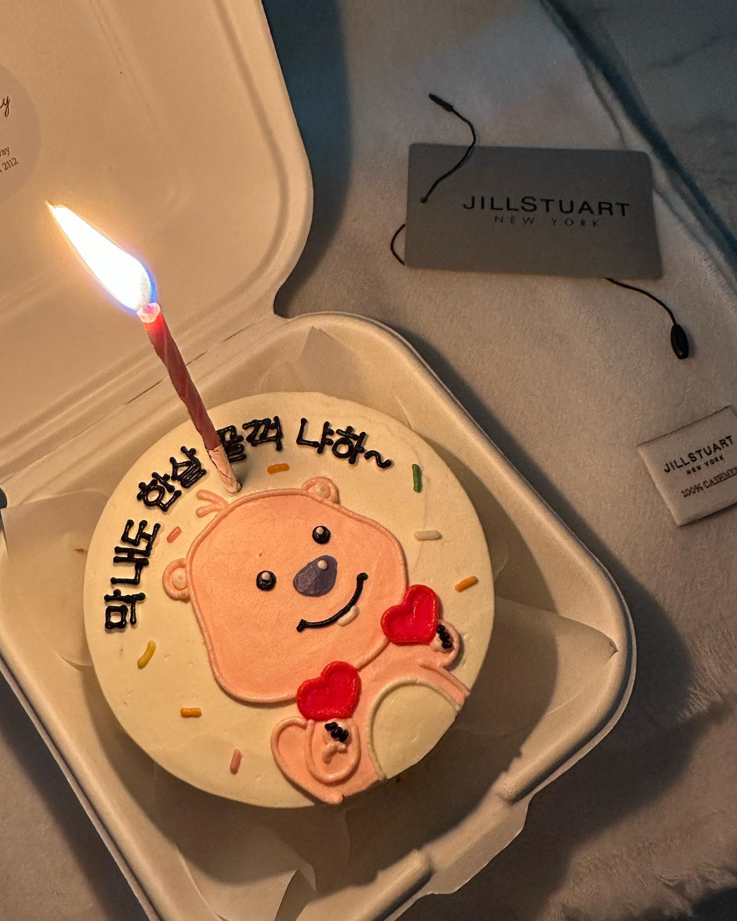 해피 생일🩷 다들 너무 고마워 츄~
#루피의하루 #hbd