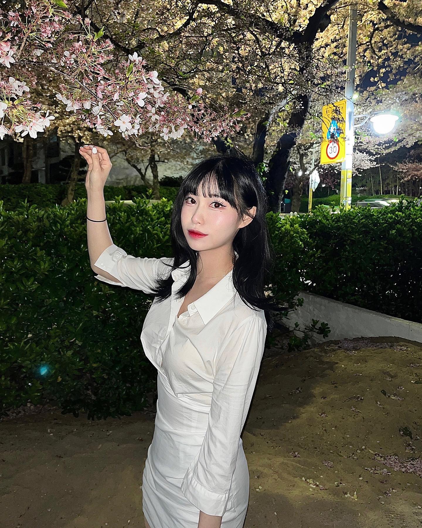 콘텐츠