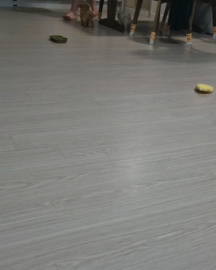콘텐츠
