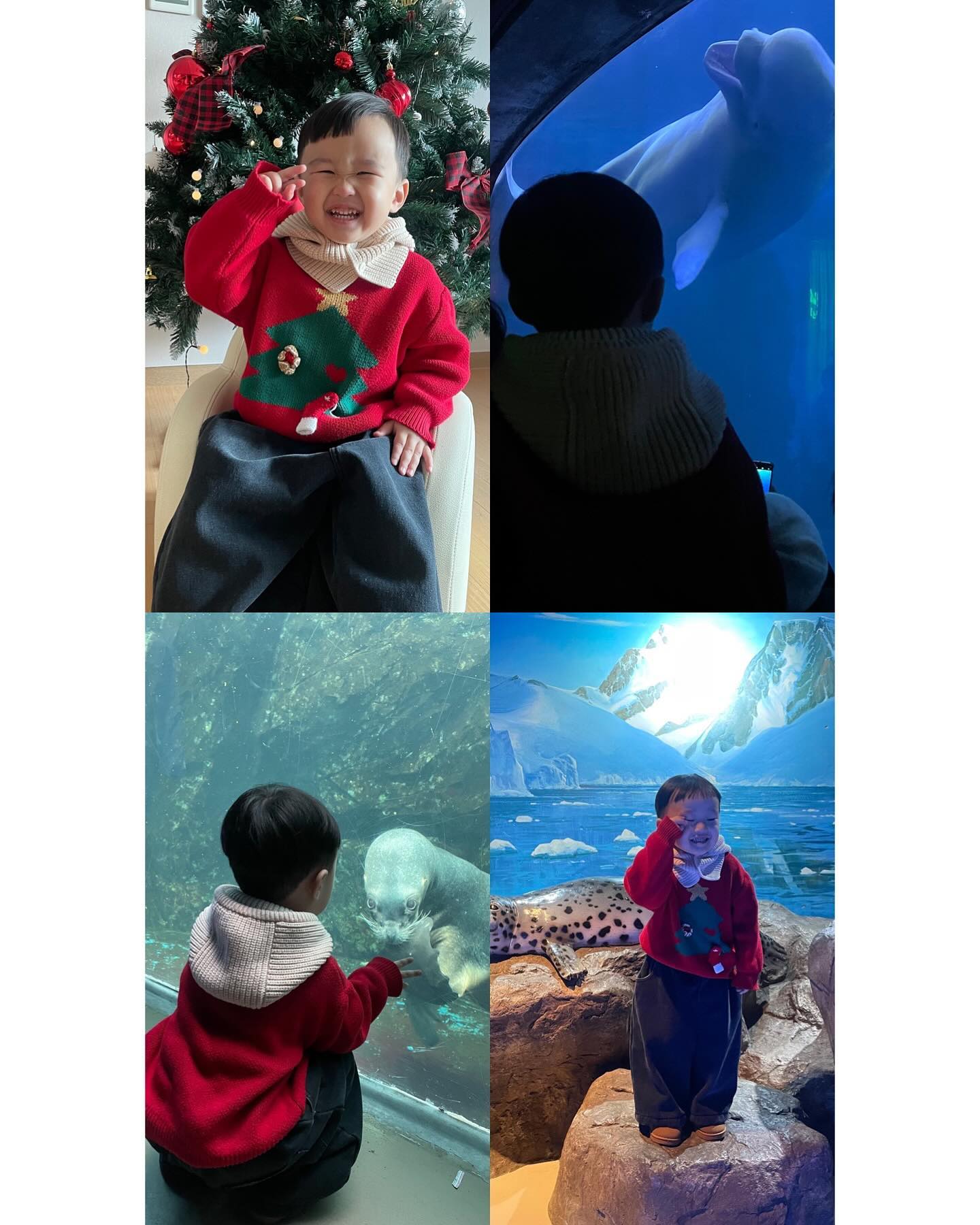 우리 양군의 4살 겨울 방학 끝❄️☃️
하루빼고 매일 나가서 알타게 놀았다(엄마 뿌듯)🫧