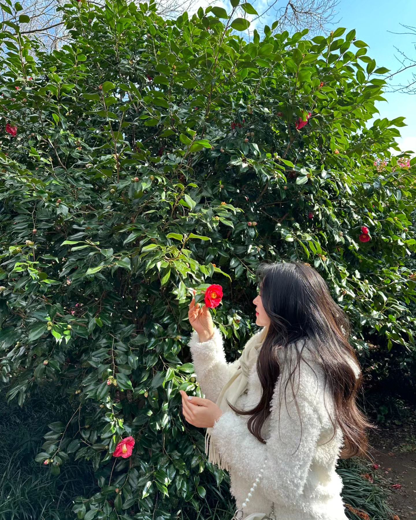 🌺
