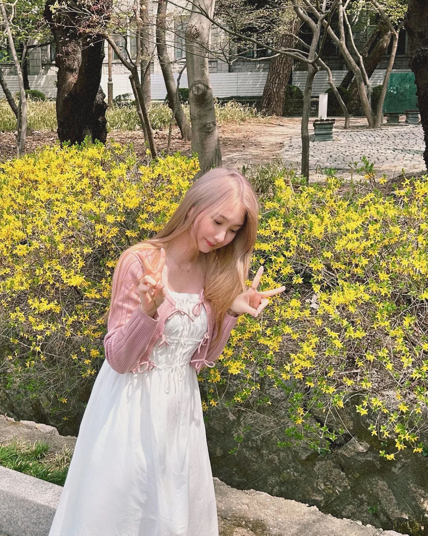 ✨️봄이 와버렸다 ୧(๑•̀⌄•́๑)૭ ✨️.
(Photo by. hyeon_jjjjjj >_0)
.
.
.
.
.
#경희랜드🌸 #경희대 #벚꽃명소 #봄 #회기 #봄에가볼만한곳 #벚꽃 #개나리 #일상 #꽃구경 #맞팔 #좋테  #데일리코디 #여성패션 #남찍사 #벚꽃놀이 #벚꽃명소 #꽃놀이 #날씨맑음 #머리스타그램 #꽃스타그램 #헤어 #전신샷찍기 #ootd #khu #kyungheeuniversity #daily #spring #newhair