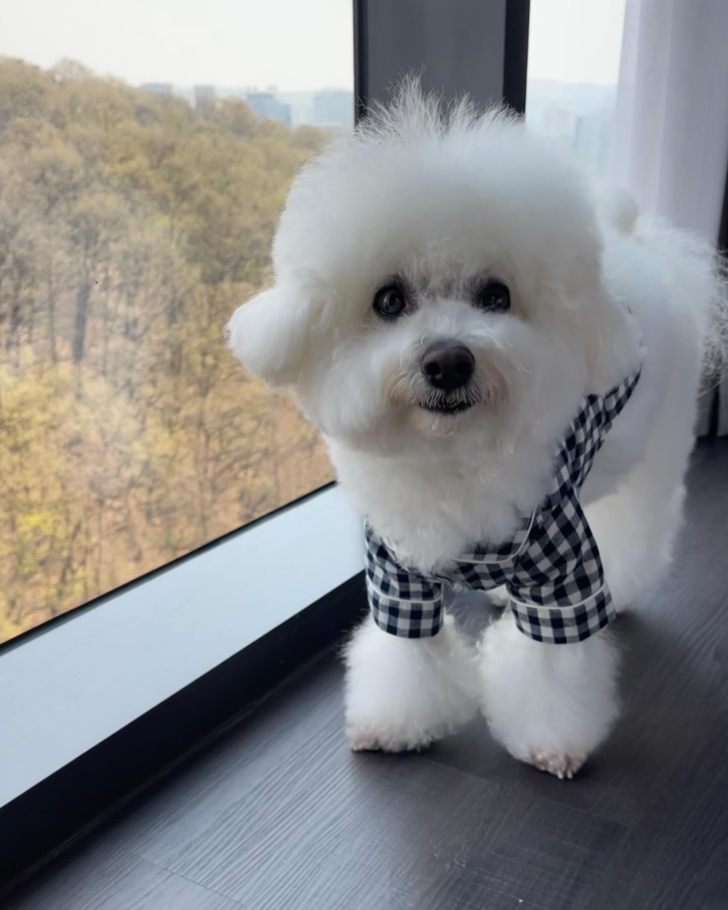 얼마 전 서울 놀러갔을 때 이모가 예약해준 숙소
#더블트리바이힐튼서울판교 🐶펫캉스로 소개되는 곳이래요 ㅎㅎ
여행 가면 여기저기 다니느라 숙소에 머무는 시간은 많지 않지만
냄새나 청결에 예민하고 까다로운 편이라,, 숙소 예약이 중요해요🙄
요기는 전체적으로 깨끗하고 방음도 잘 되서 꿀잠 잘 수 있구요~
초록초록 포레스트뷰🌳도 멋지답니당
호텔 내 에어버기 개모차도 대여해준다니 참고하세요🫶🏻