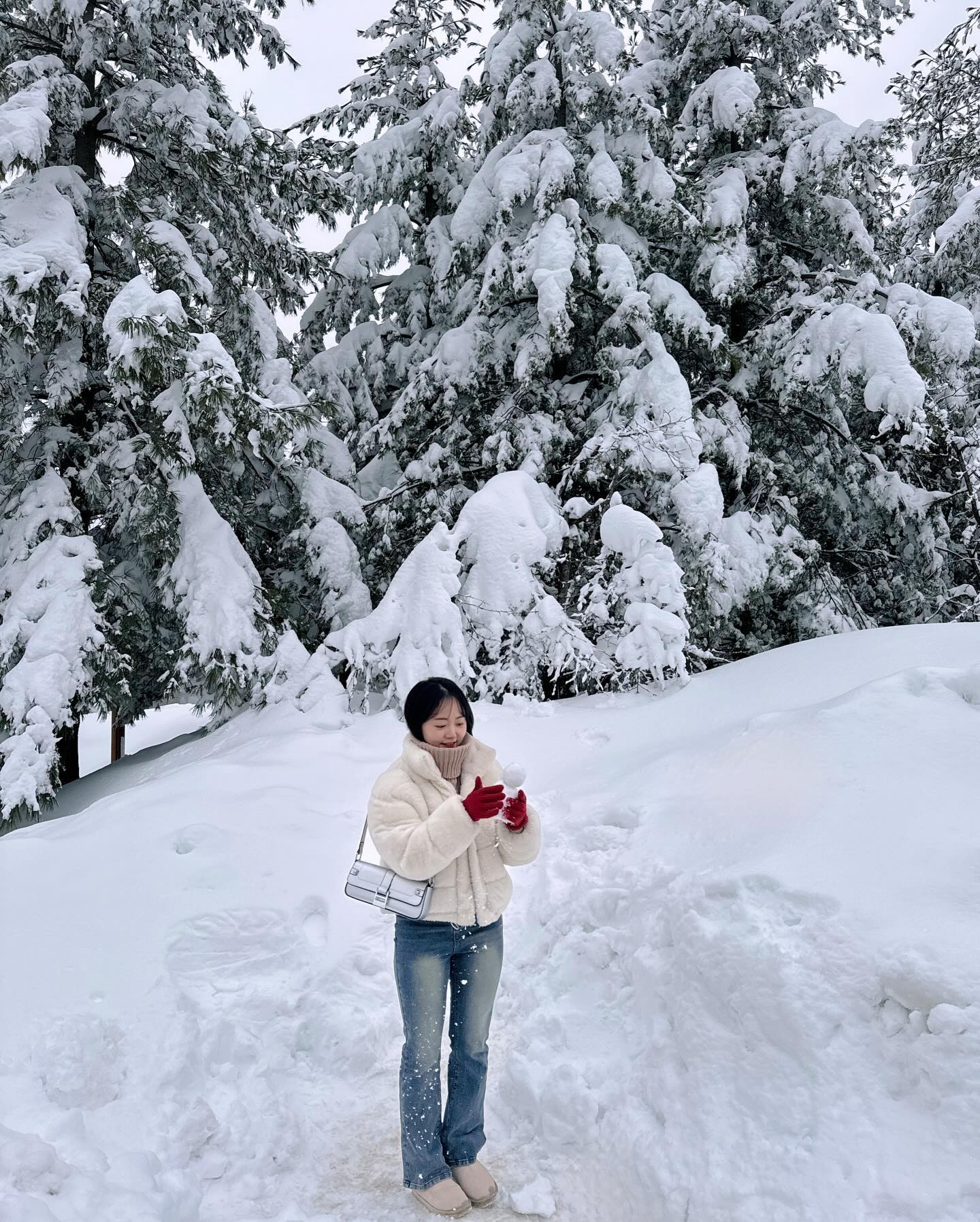 대관령은 지금 겨울왕국❄️

#겨울여행 #눈꽃