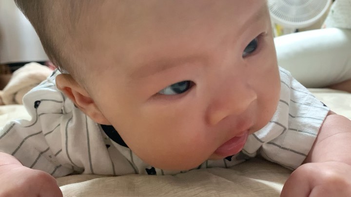 -
이준 : 엄마 제발 그만..
ㅋㅋㅋㅋㅋㅋㅋㅋㅋㅋㅋ
너무 귀엽잖으~~터미타임♥️
잘한다 자란다 짜란다~~~
.
머리 무거운데 수고했다 아들😂
엄마 목소리 왜저러냐 ㅋㅋㅋㅋㅋㅋㅋ
드럽게 호들갑ㅋㅋㅋㅋㅋㅋㅋㅋㅋㅋ
-
-
#터미타임 #터미타임연습 #잘한다잘한다내새끼 #수고했어 #아들