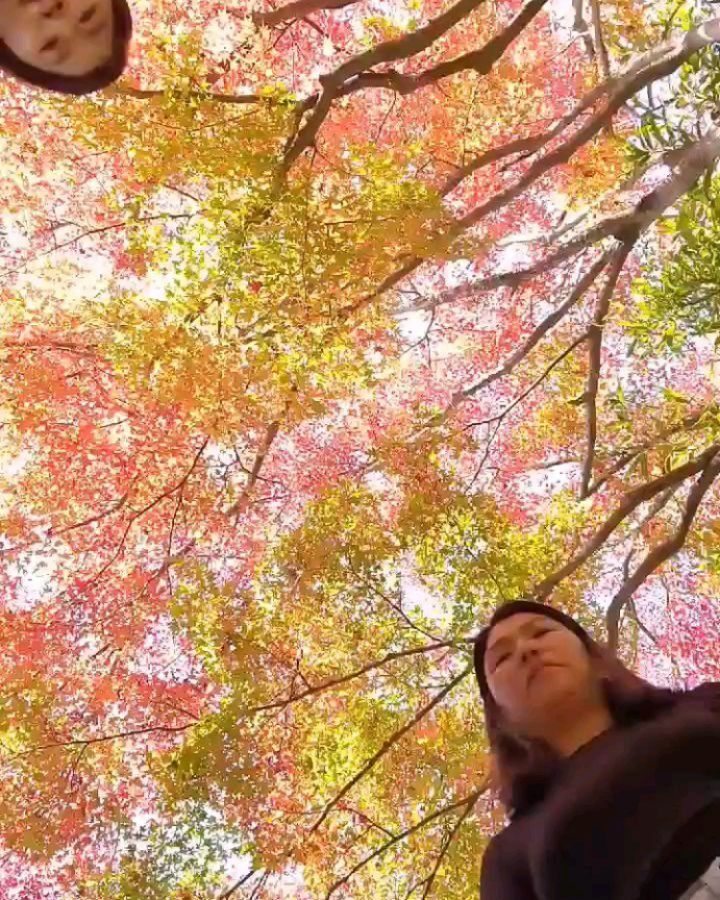 ㅡ
요즘 유행하는 하트샷❤️
우리도 찍어봤지롱^^
ㆍ
ㆍ
ㆍ
#경주#불국사#단풍구경
#단풍사진#단풍#하트릴스
#하트포즈#가을#릴스타그램
#가을단풍#친구사이#ootd