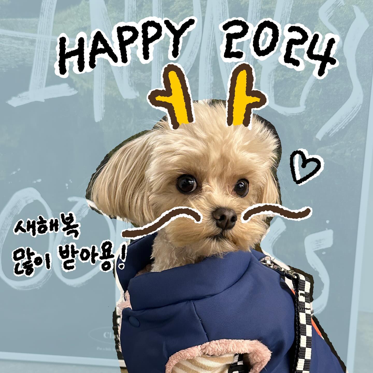 친구들 모두 새해복 많이 받아용🐉💙

#나는야_테디 #2024년 #새해복많이받으세요🙇🏻‍♀️