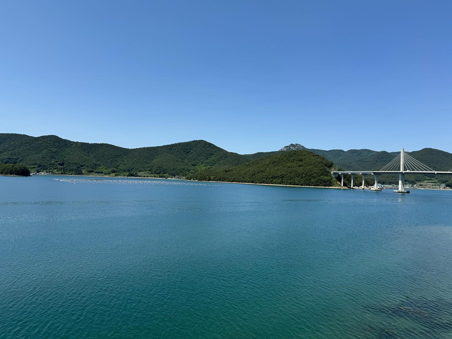 거제도 섬안의 섬 산달도 트레킹!!!
주말은 트레킹 7키로 걷기!!!
2시간 30분 걸렸어여~~~^^

#산달도트래킹 #산달도 #산달도연륙교 #거제도여행 #거제도 
#섬안의섬 #섬안의섬여행 #산전마을 #산후마을 #실리마을 
#구미호뎐촬영지 #산후마을달빛쉼터#섬트레킹🏝🏞🚶‍♀️🏕 
#맞팔해요😘❤️ #맞팔환영💕 #서이추환영❤️ #서이추🌸
