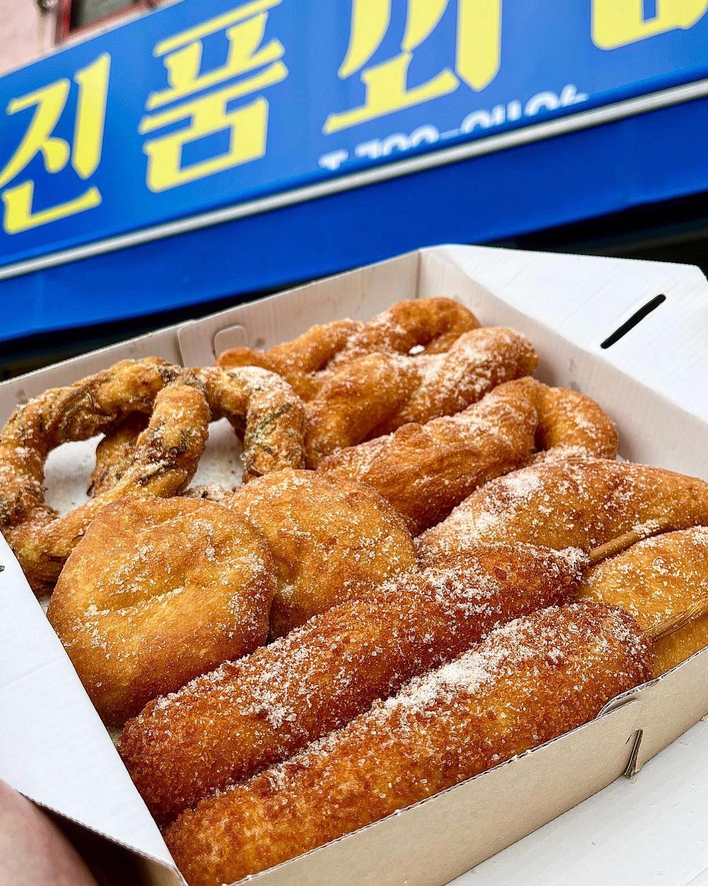 📌#협찬 제주 연동 바삭하고 쫀득쫀득한 꽈배기?!
신제주꽈배기 맛집으로 이미 아시는분들은 
다 아는 꽈배기맛집 #진품꽈배기 🫚

진품꽈배기는 주문 즉시! 튁튁튀겨줘서 완전 따뜻따뜻
한 꽈배기를 맛볼수 있다는 사실!! 매장에서 먹고가는 
가게가 아니라 테이크아웃매장인데도 불구하고 주변에 
사시는분들이 많이들 오시더라구요 🐤
그이유는 가성비가 너무 좋고 따뜻한 꽈배기를 다양하
고 저렴한 가격으로 맛볼 수 있다는점!❣️

찹쌀꽈배기는 1개에 700원! (너무 착한 가격😇)
선물용SET는 단돈 10000원!💸

이렇게  한세트를 주문하면 :꽈배기,팥도너츠,고구마도
너츠,대파도너츠,핫도그로 구성되어있어여 !!그중에서 
대파도너츠가 넘,…맛있어..고로케 좋아하시는 분들은 
취향저격 할거 같아요!

그리고 꽈배기랑 팥도너츠도 너무 맛있어요! 위에 뿌려
진 설탕과 속에 있는 팥앙금 덕분에 더덛더! 최고‼️
반죽 자체가 맛있으니까 맛 없을 수 없죠~🥳
엄청 쫀득쫀득하고 바삭하니 근처 사시는 분들 꽈배기
 땡기면 한번 가보세효!

⭐️꽈배기 나중에 맛있게 먹는법 ⭐️
 대용량으로 사가서 꽈배기가 남으면 냉동보관을 하신후 
전자레인지에 30초 정도 돌려서 먹으면 따끈한 꽈배기로
즐길 수 있또요!~!😎

----------------------------------------

📝 퓨리의 픽
🏷 선물용SET : 10,000원
📍 제주 제주시 신대로147
⏰ 영업시간 : 월-토 8:30-19:20(일요일 정기휴무)
🚘 주차장 없음,길가에 주차
📞010-5782-3539 
064-782-9496 
(전화로 주문후 10분후 찾으러 가도되요~)

-----------------------------------------

#제주도맛집#제주도간식#연동단체간식
#연동#연동맛집#먹스타
#신제주꽈배기#연동꽈배기#제주꽈배기
#제주빵지순례#꽈배기#꽈배기맛집
#진품꽈배기#퓨리_제주#퓨리_연동