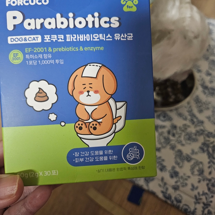 포쿠코 파라바이오틱스 유산균