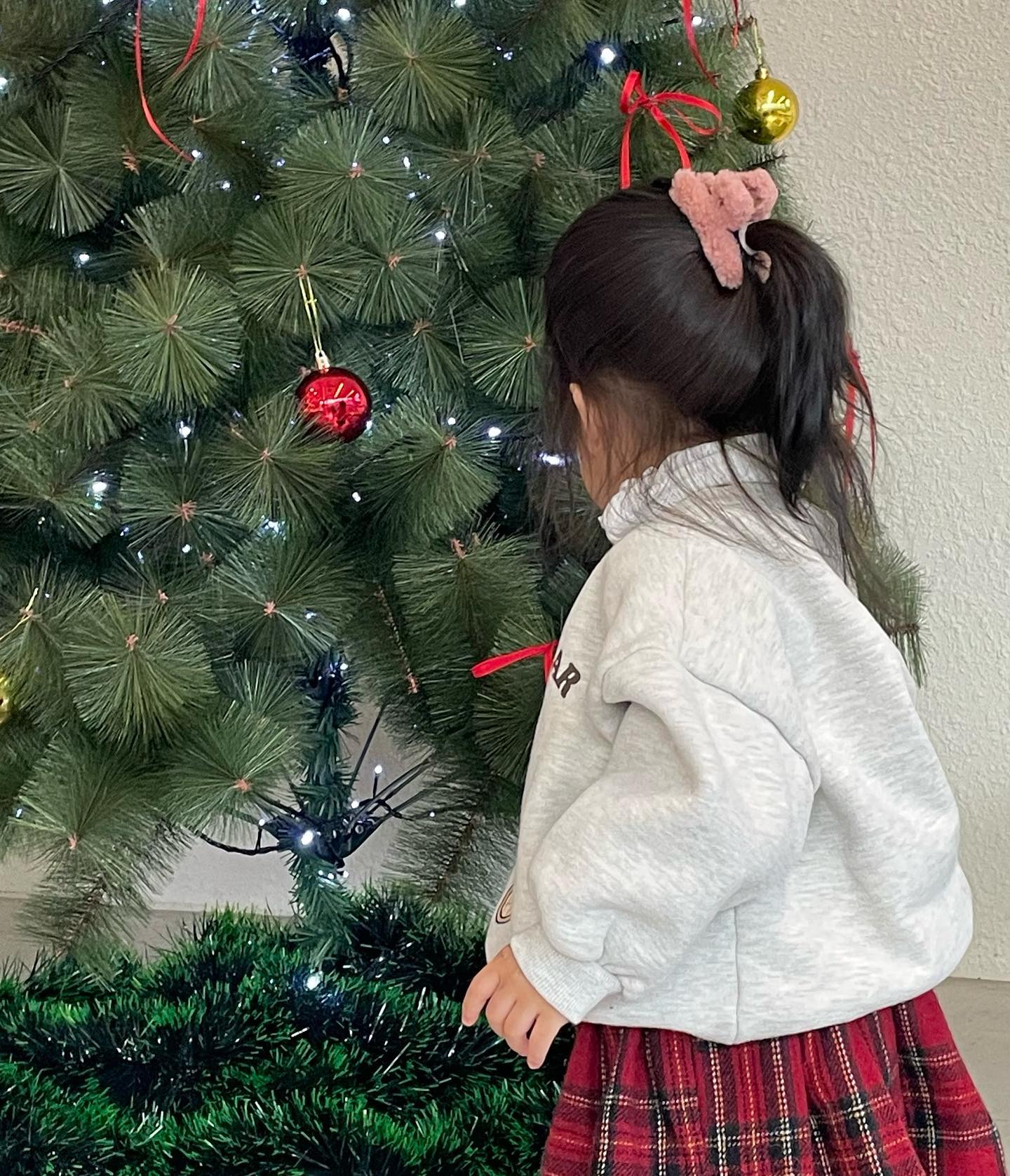 떵꼬발랄해 진쯔〰️🎄♥️