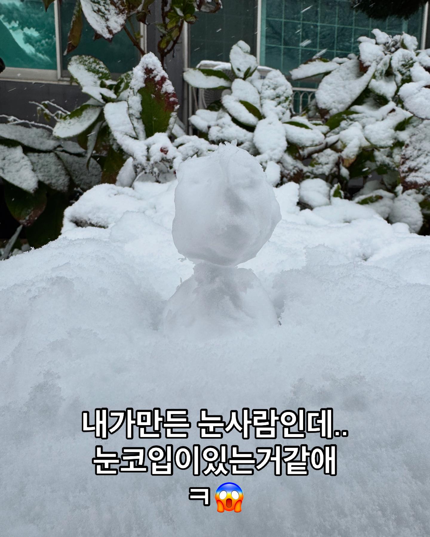 2024.11.28.수
일찍끝났는데..눈싸움 할 사람도 없고..
나 누구랑 눈싸움해?ㅠㅠ
예전엔 큰아들이가 놀아줬는데ㅋ

#심심하군#책이나읽어야겠다#목욕탕이나갈까♨️#첫눈오는날☃️#군대맘#아들군대감#아들맘#보고싶다#눈싸움하고싶다❄️#나랑놀사람손✋️✋️✋️