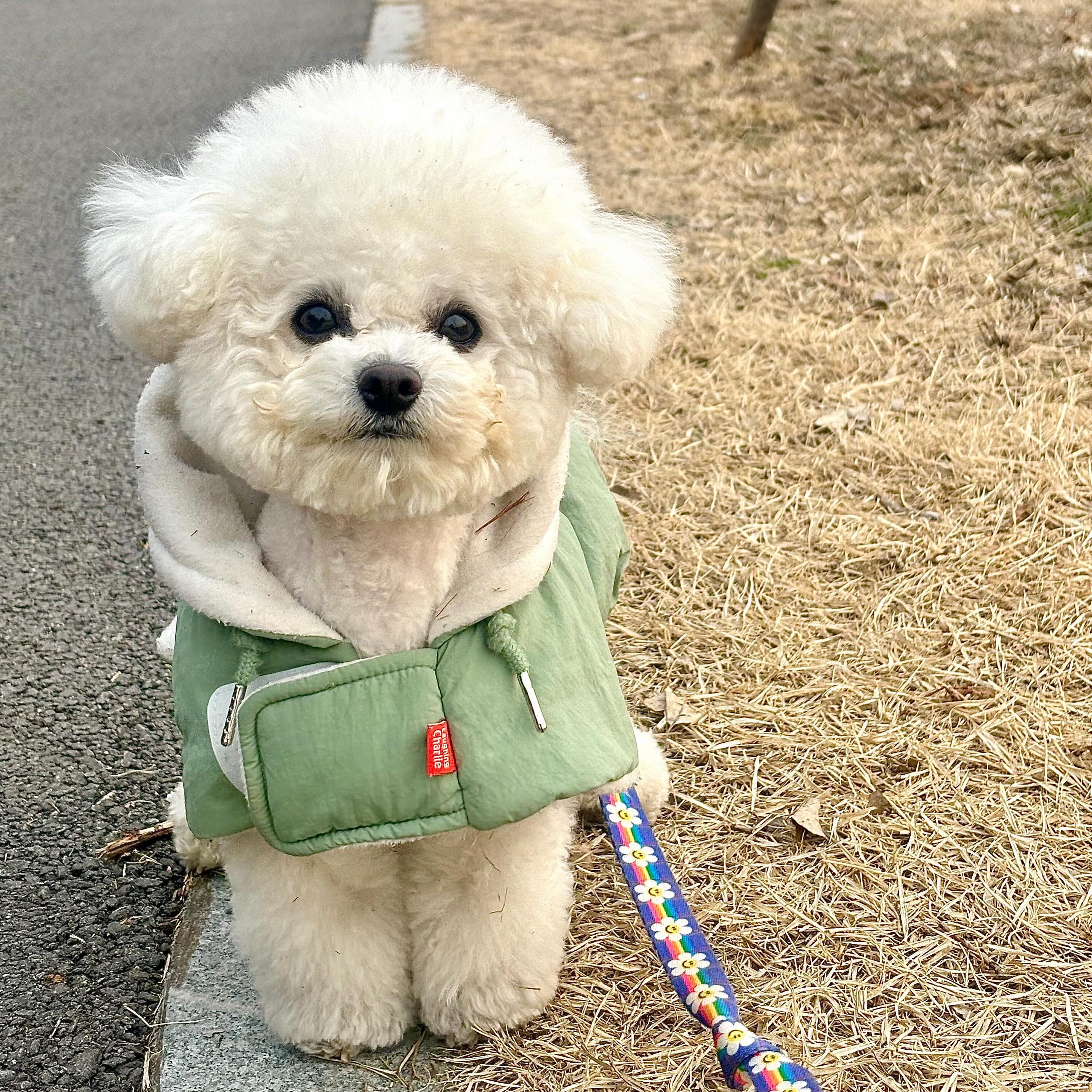 인형이세요?김단단씨?