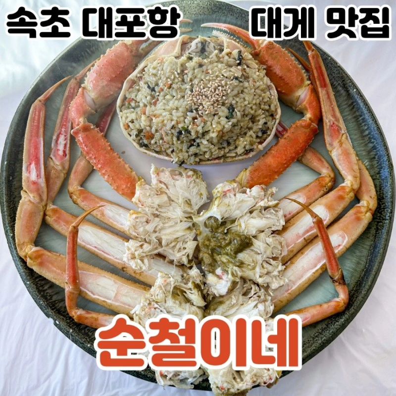 🦀속초 순철이네🦀

대포항에 있는 대게 맛집! 세트 시키면 나오는 해산물에 가리비회가 진짜 맛있음... 크고 살이 꽉 차있는 대게는 순철이네로✨

✔️ 살로 꽉찬 큰 대게
✔️ 흔하지 않은 가리비회
✔️ 친절하신 사장님

🕙 평일 10:00~22:00 / 주말 10:00~24:00

🅿️ 대포항 1주차장 추천

☎️ 0507-1359-4401

*협찬 #다소니_속초 #속초맛집 #대포항맛집 #속초대게 #속초대게맛집 #대포항대게 #대포항대게맛집