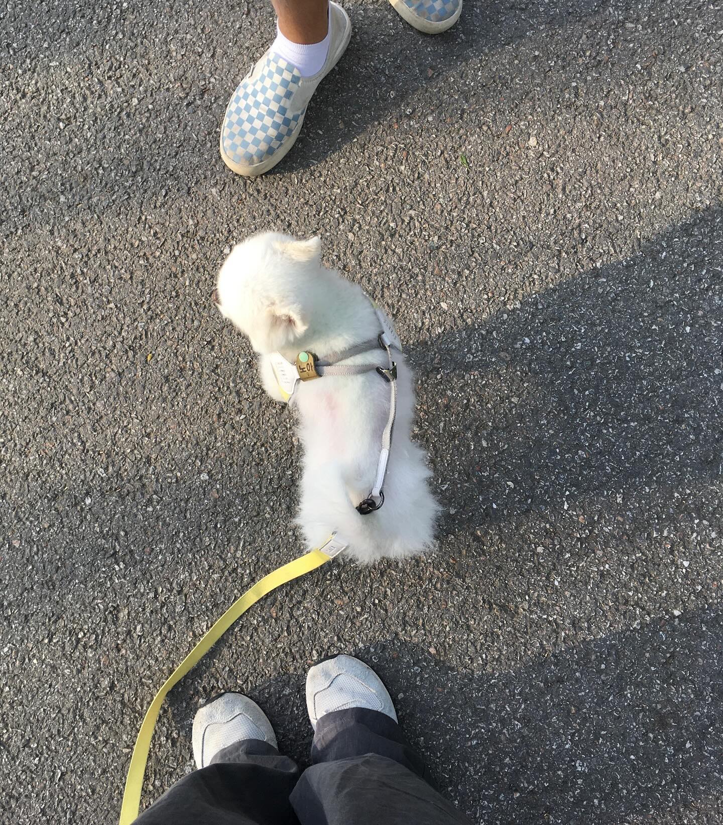 날씨 참 좋다이 ~