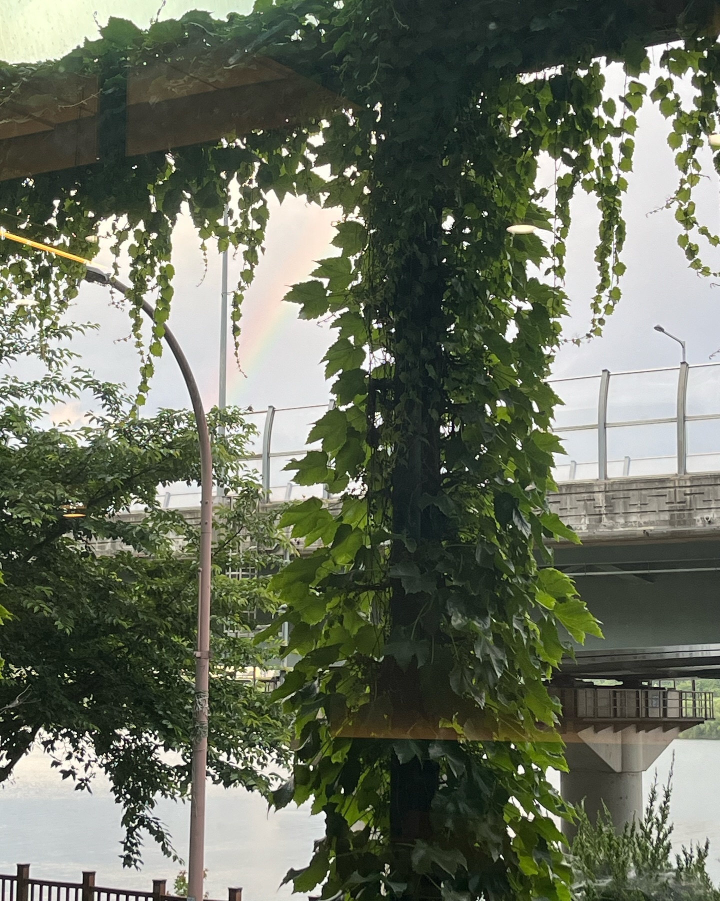 엄마랑 무지개 봤던 날 🌈🌿