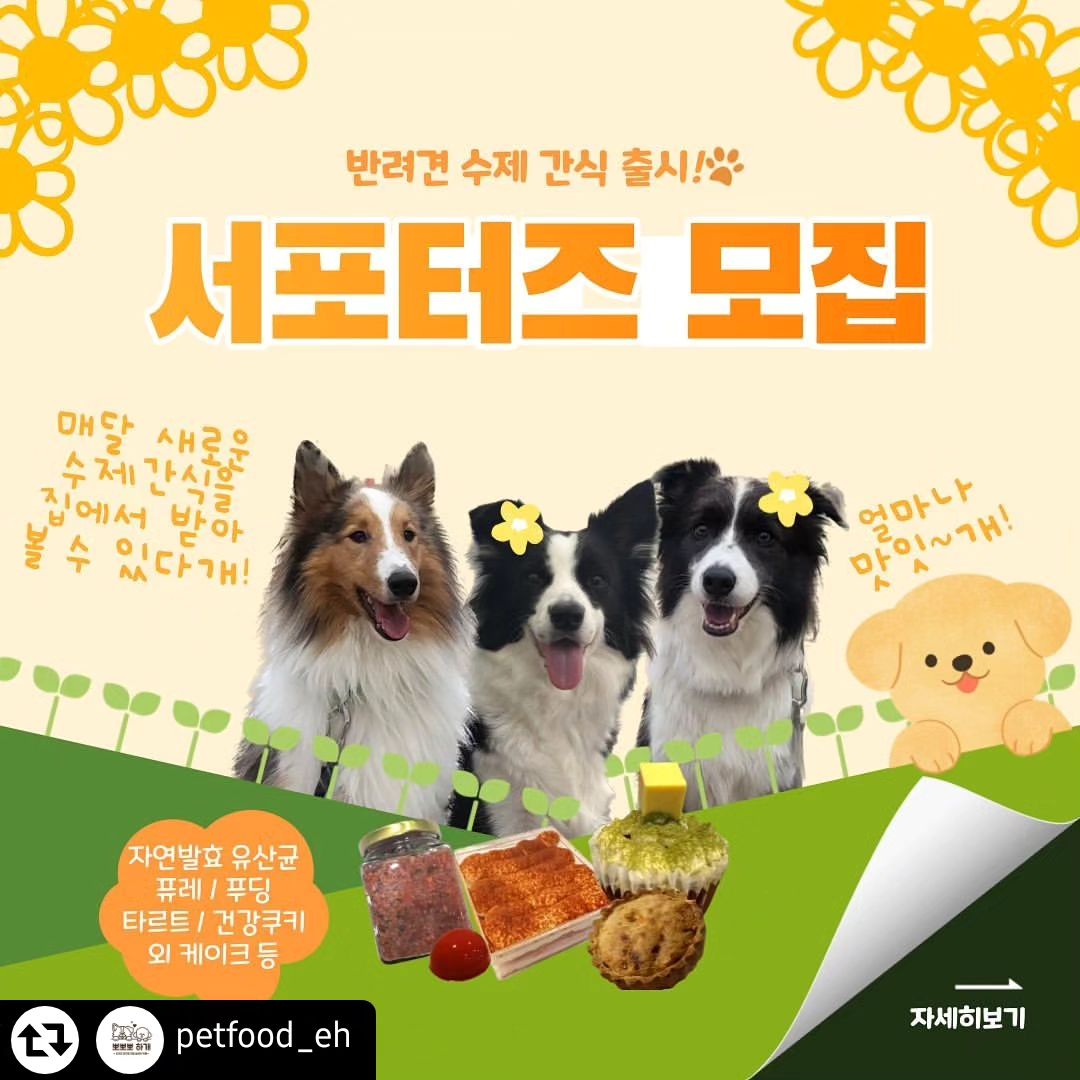#리그램 - petfood_eh by get_regrammer
#견식습관1기서포터즈 #이벤트 #서포터즈모집 
❤견식습관 1기 서포터즈❤️

매월 3가지이상 수제간식을 직접 수령 또는 
택배로 받아보실 수 있습니다!
수령 월에 간식에 대한 후기를 사진과 함께 
인스타/블로그에 업로드 해주시면 됩니다!

•업로드해주시는 후기 사진은 마케팅 목적으로 활용될 수 있으며, 전체공개 계정만 참여 가능합니다!
• 자격요건: 반려견 키우시는 모든 보호자님들 환영해요! 
(고양이는 더 기다려주세요!)

✔️모집인원: 10명
✔️모집기간: 12/01(금) ~ 12/10(일)
✔️발표일자: 12/13
✔️활동기간: 23.12 ~ 24.02
✔️참여방법: 견식습관 팔로우 + 피드 리그램 
(petfood_eh + #견식습관1기서포터즈 태그해주셔야 
신청 내역 확인이 가능합니다!)
* 태그하구 친구소환 많이해주세요!(의외선물이?🤭)

많은 참여 부탁드립니다🙏🏻