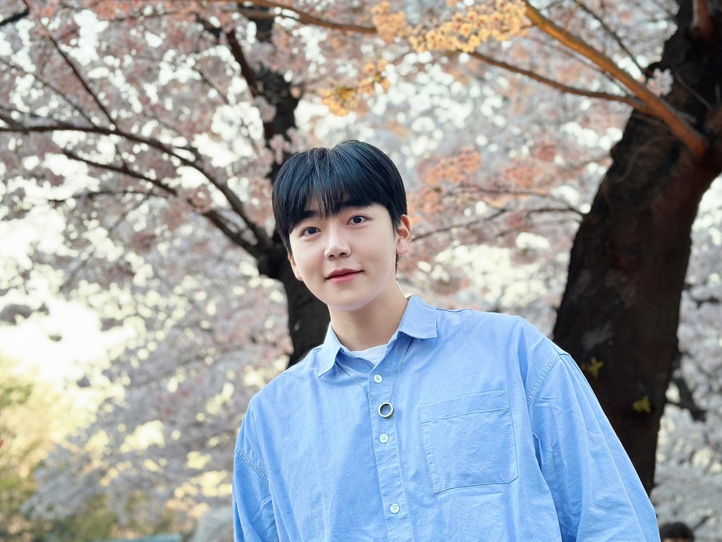팝콘놀이