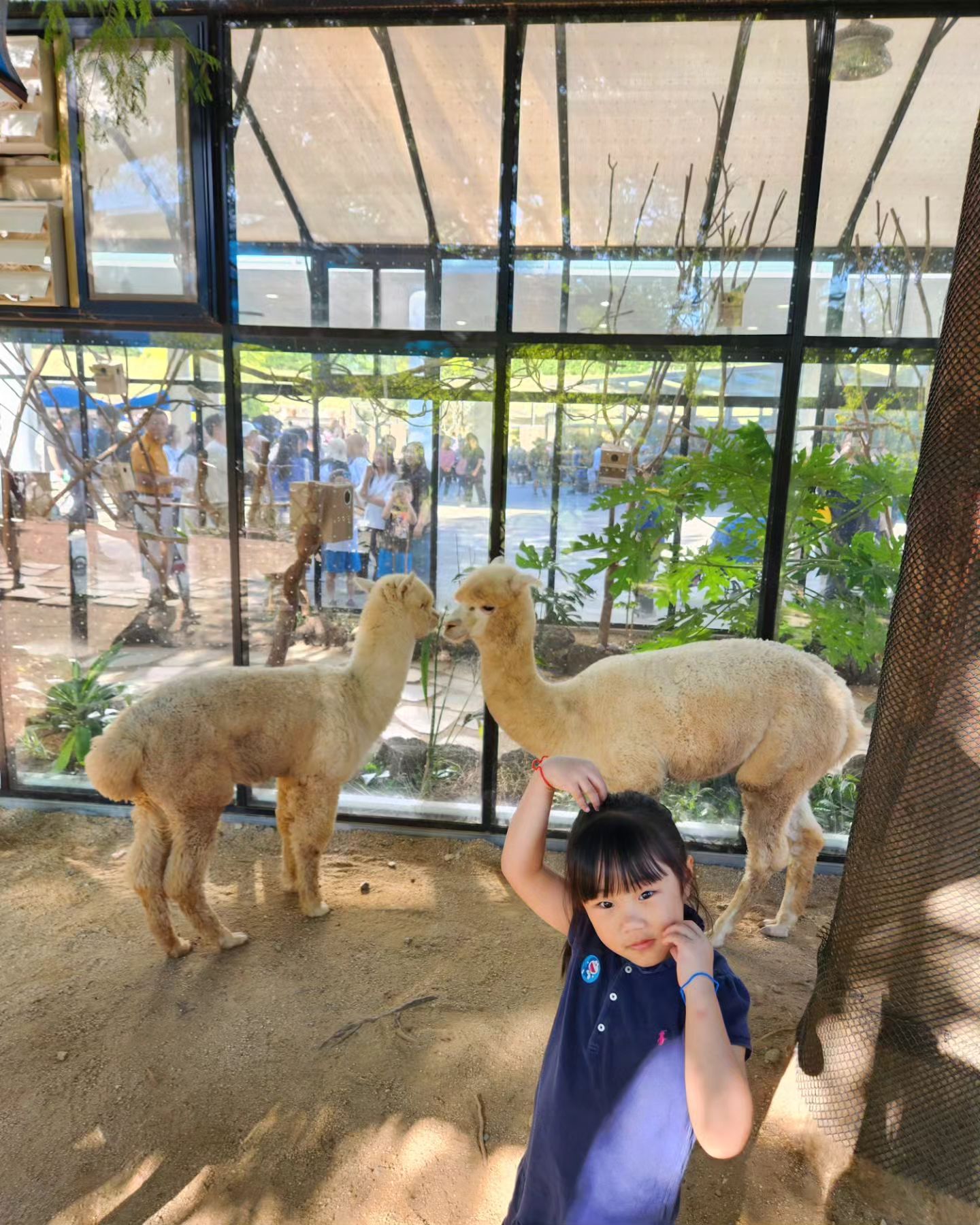#순천만국가정원 

차도 사람도 정원도 너어무 많고 넓은 곳😅
끝난줄 알았던 물놀이가 아직 가능해서 하윤이 발만 담구자 했더니..분명 하윤이가 먼저 조심할게요 했는데 인어공주라며 앉아버림ㅋㅋ여벌옷 갈아입고 또 구경🙃
그렇게 어두져서까지 구경하고 놀이터에서 놀고 김현정,김종서 공연까지 보고서 왔네ㅋ
절반도 제대로 못봐서 담날 또 갈까 잠깐 고민했지만..애들 데리고 풍경 구경하려니 넘나 힘든것..

#순천여행#국가정원#작은동물원