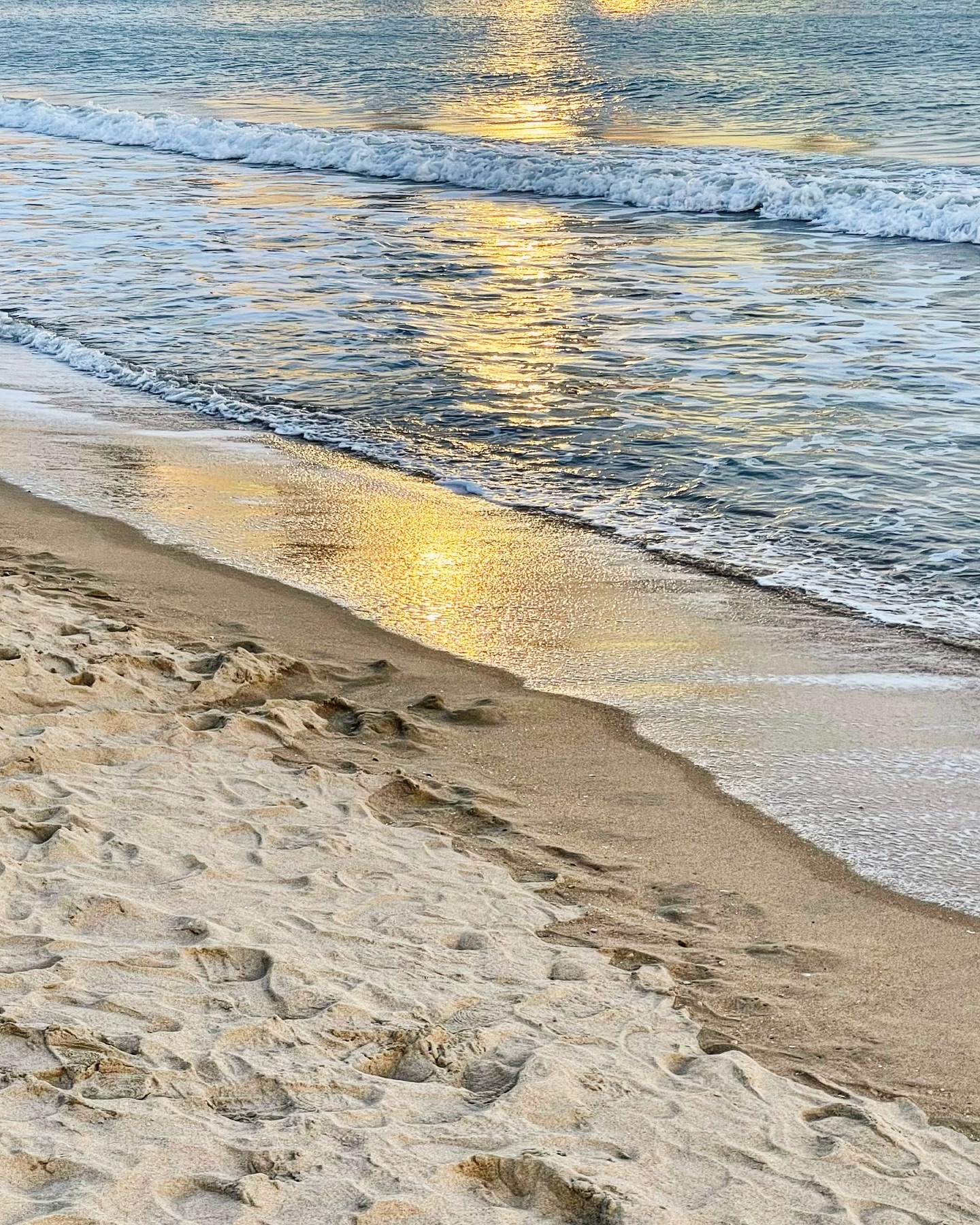 리시안셔스 꽃말을 찾아보던 어느 날. 꽃시장 가면 좋아하는 망고튤립이랑 리시안셔스 한 단도 데려와야지🙂❀