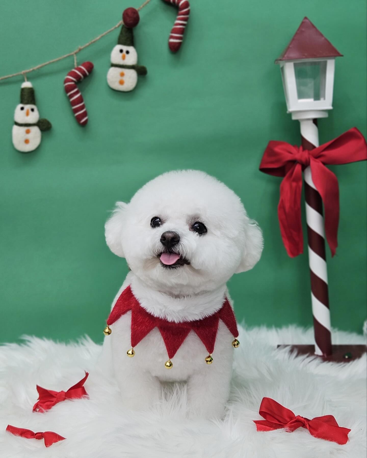 메리크리스마스🎄🎅🏻