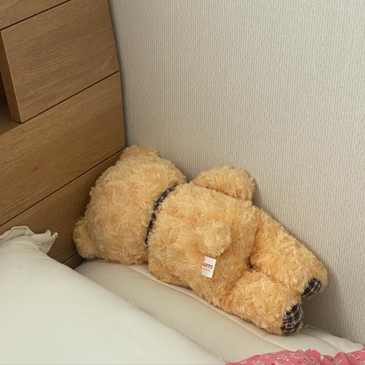 좀 컸어도 이건 여전하네..
🧸👀(인형은 좋아해도 인형눈은 무서운 애..)