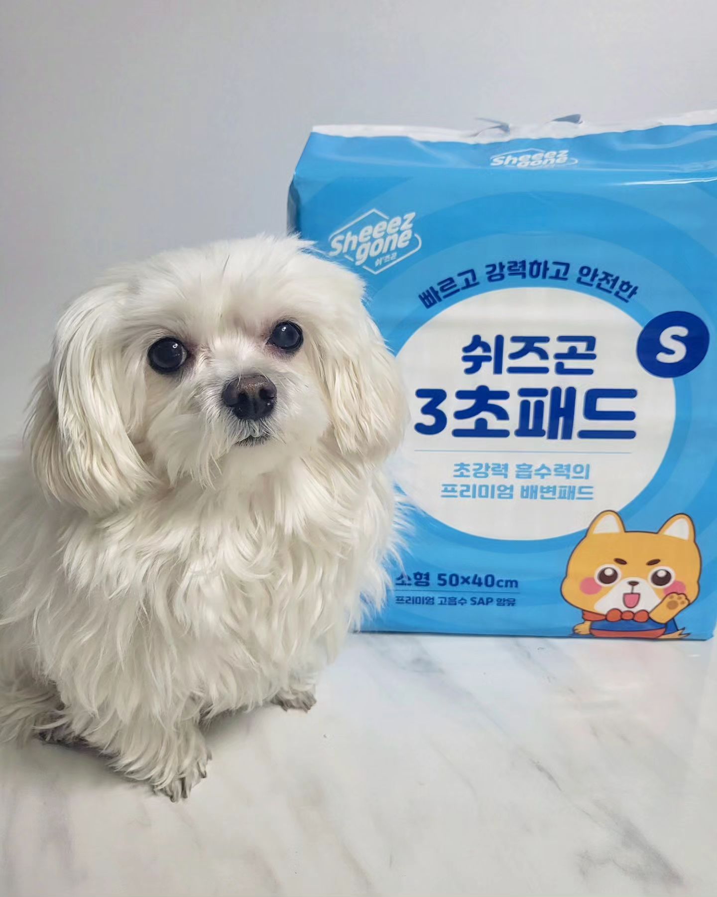 #협찬 #제품제공
⠀
#쉬즈곤 에서 #3초패드 제공받았오😁
초강력 순간 흡수력의 프리미엄 배변패드👍
소변 흡수가 바로바로 되서 발도장이 안남는 배변패드
3초 패드는 두툼해서 너무 좋아
모서리로도 새지 않아 위생적으로 사용 가능해🥰
강력한 흡수력뿐 아니라 탈취효과도 뛰어나 냄새를 꽉 잡아줘
⠀
✅️초강력 고흡수체 SAP 함유
✅️빠른 건조를 돕는 다이아몬드 엠보싱
✅️강력한 6층 구조
✅️논슬립 방식
✅️효과적인 탈취
✅️안전한 제조
⠀
#강아지배변패드 #강아지패드 #강아지배변훈련 #강아지배변처리 #반려동물패드 #강아지소변패드
#강아지배변패드판 #강아지논슬림 #강아지화장실