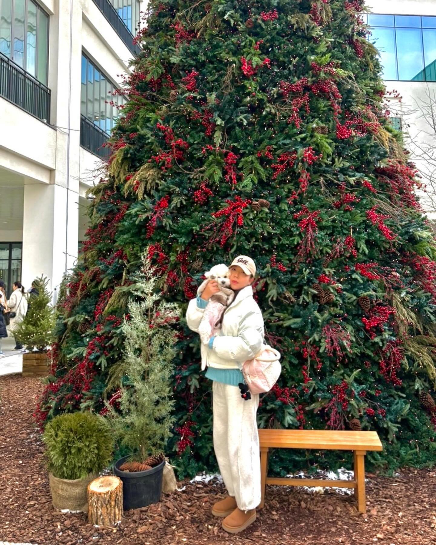 Marry Christmas🎄