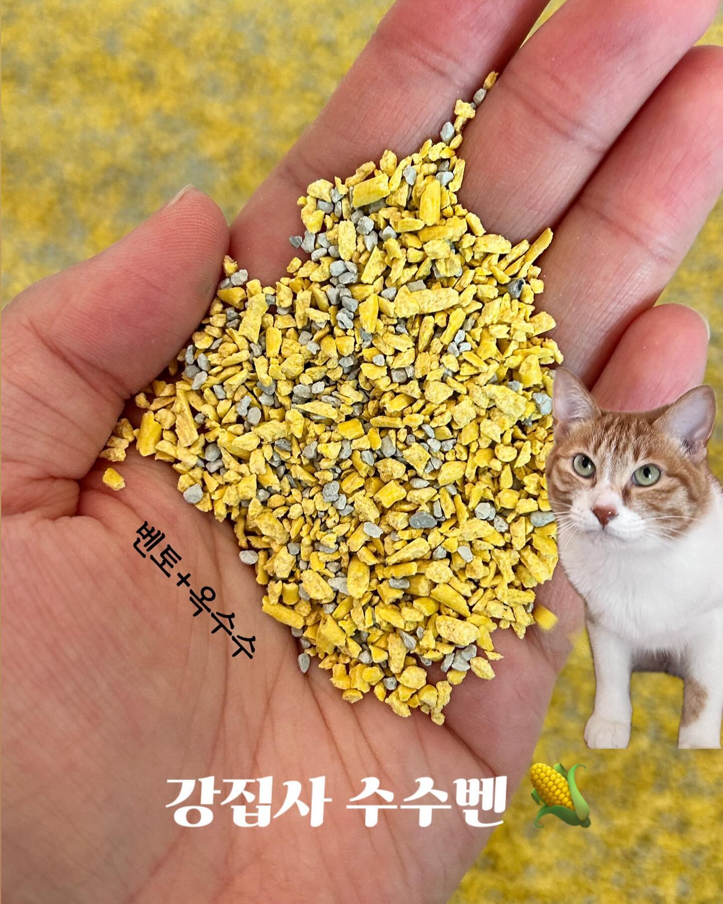 #제품제공 kangjipsa 🌽

화장실과 모래로 유명한 강집사에서 신상품으로 
나올 예정인 #수수벤 ! 🌽 여우가 먼저 써봤어요 💛
벤토나이트와 옥수수모래의 조합이라니 ,,, 
궁금해서 신청한 사전체험단으러 런칭전에 만나볼 수 있게됐어요🌟
벤토나이트의 장점은 그대로 살리면서 조금 가볍게 사용하고
싶은 진사님들응 위해 만들어졌다고 해요! 

일단 먼지날림은 확실히 없고 응고력도 일반 벤토와
비슷한 수준으로 좋았어요!
특히 좋은 점은 일반 벤토는 다 어두운 색이라 
건강상태를 확인하기 어려운데, 수수벤은 밝은 색이 
혼합되어 있어 보다 건강 상태 확인하기 좋을 것 같아요 😎

향은 무향인데 , 저는 옥수수 냄새가 살짝 나더라구요! 
여우도 신기한지 처음에 계속 냄새도 맡아보고 디깅도 해보고 하다가 지금은 다른 모래와 다름없이 잘 사용하고 있어요 ❗️

아직 패키지도 이름도 제대로 정해지지 않아서 패키징에는
두부모래라고 적혀있어요! 정해지면 패키징까지 더 
완벽해질 수수벤 모래 많은 관심부탁드려요 💛🧡

#강집사 #고양이모래 #강집사수수벤