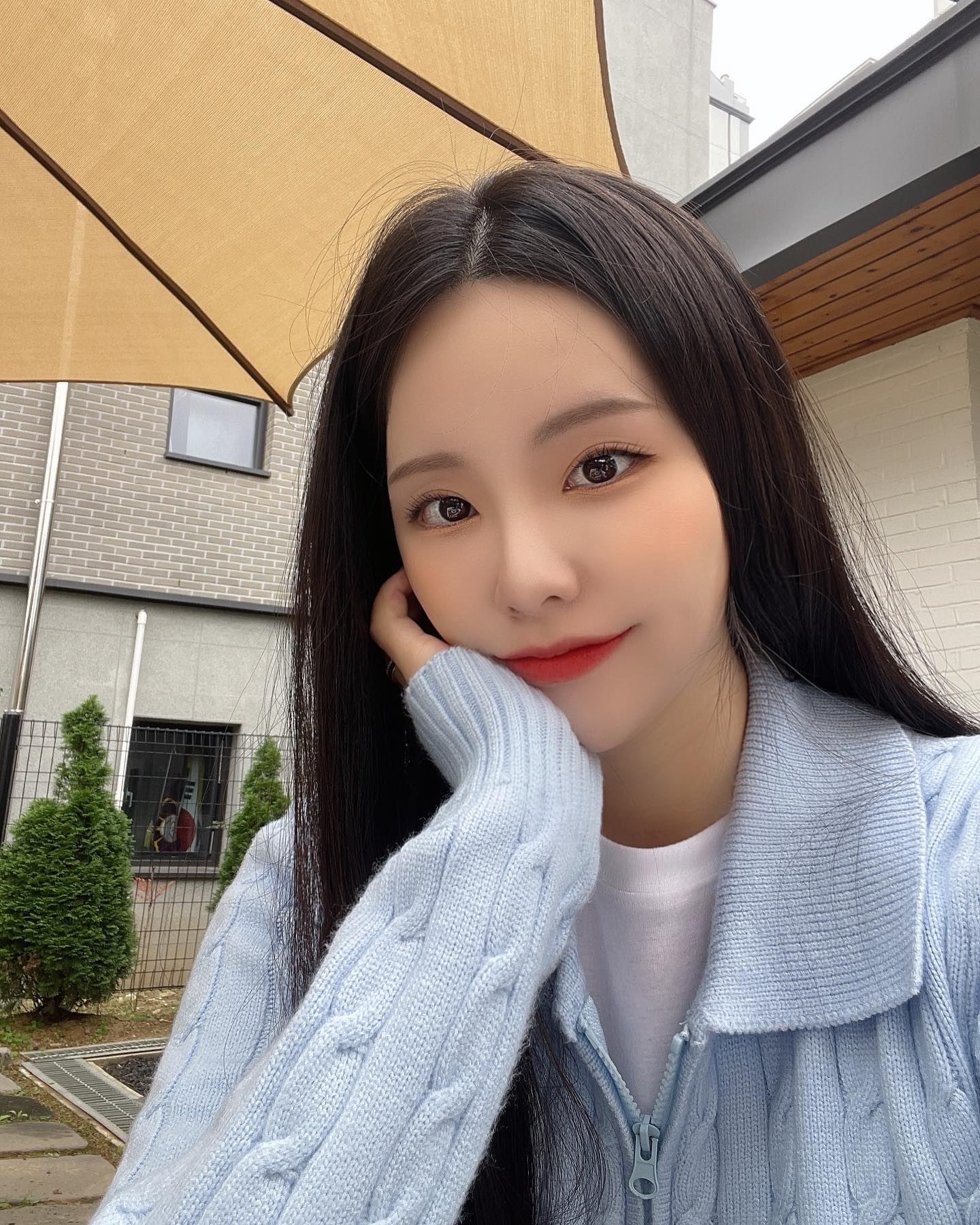 콘텐츠