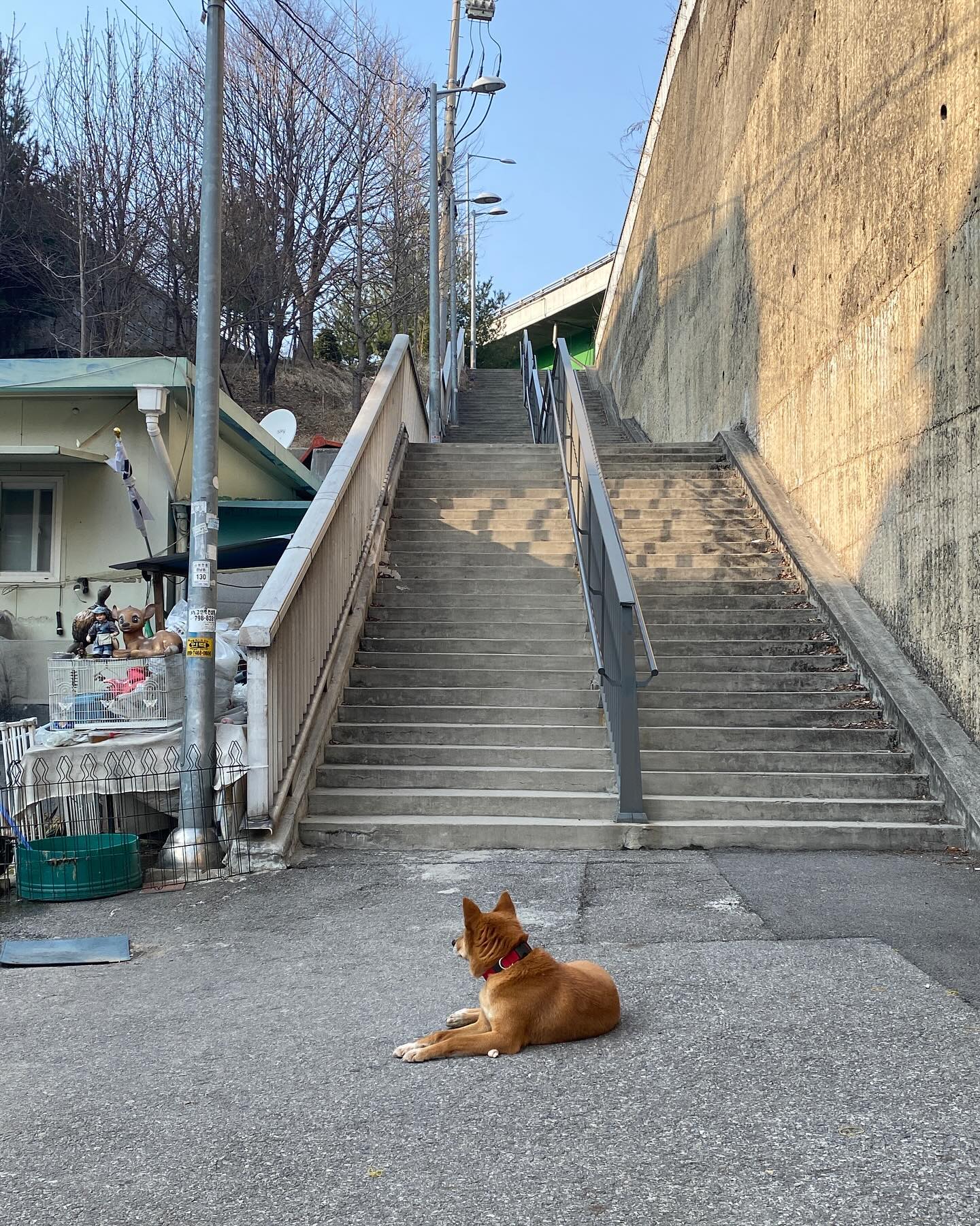 콘텐츠