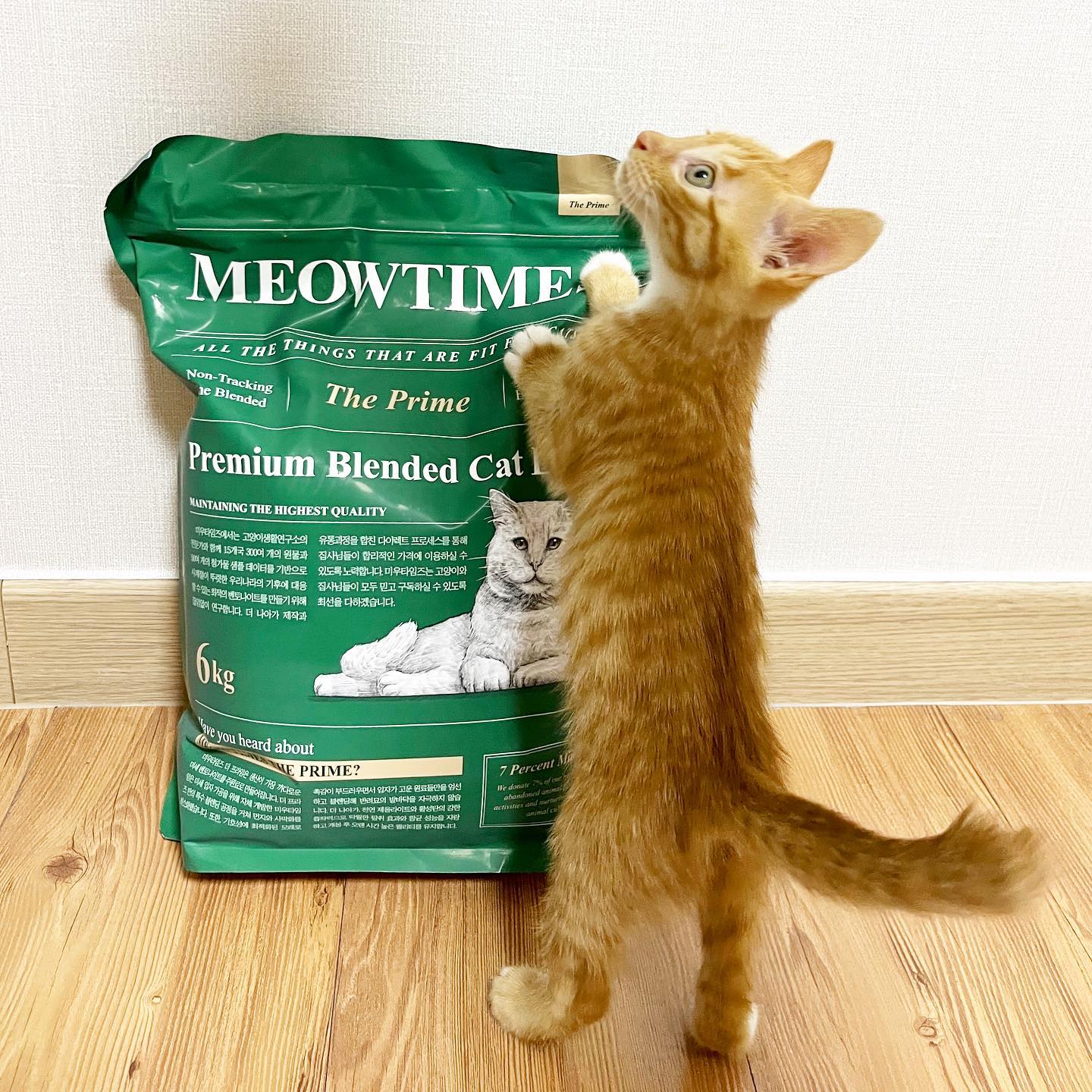 #할인구매 meowtimes_official #안내링크통해서 #미우타임즈
미우타임즈 고양이모래 어떠세요?
정기배송으로 안전하고 항상 모래 빵빵하게 지낼 수 있고
먼지가 거의 안나서 편해요!
응고와 탈취력도 좋지만 그래도 제일 좋은건
냥이가 좋아한다는 것 ! 
들어가서 냄새도 맡고 적응하고 그러네요 :)

.
.
.
.

#첫구독시0원 #링크입력 #뷰티블로거 #구독 #맛집블로거 #인플루언서 #와이오밍 #반려동물 #리뷰어 #구독권  #벤토나이트